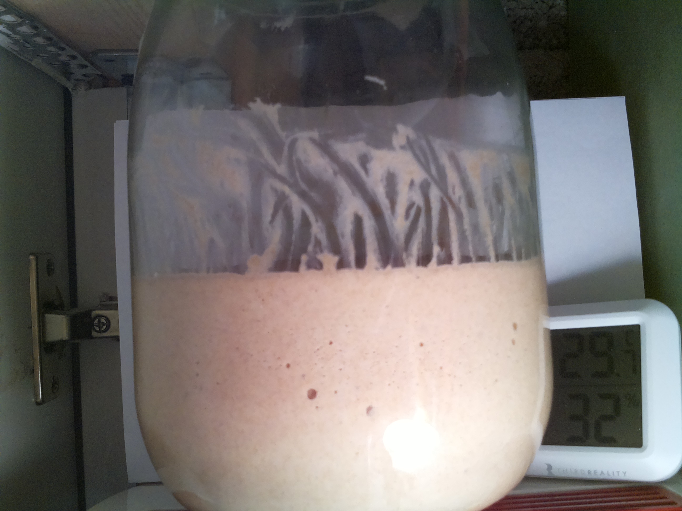 Bild vom Sauerteig