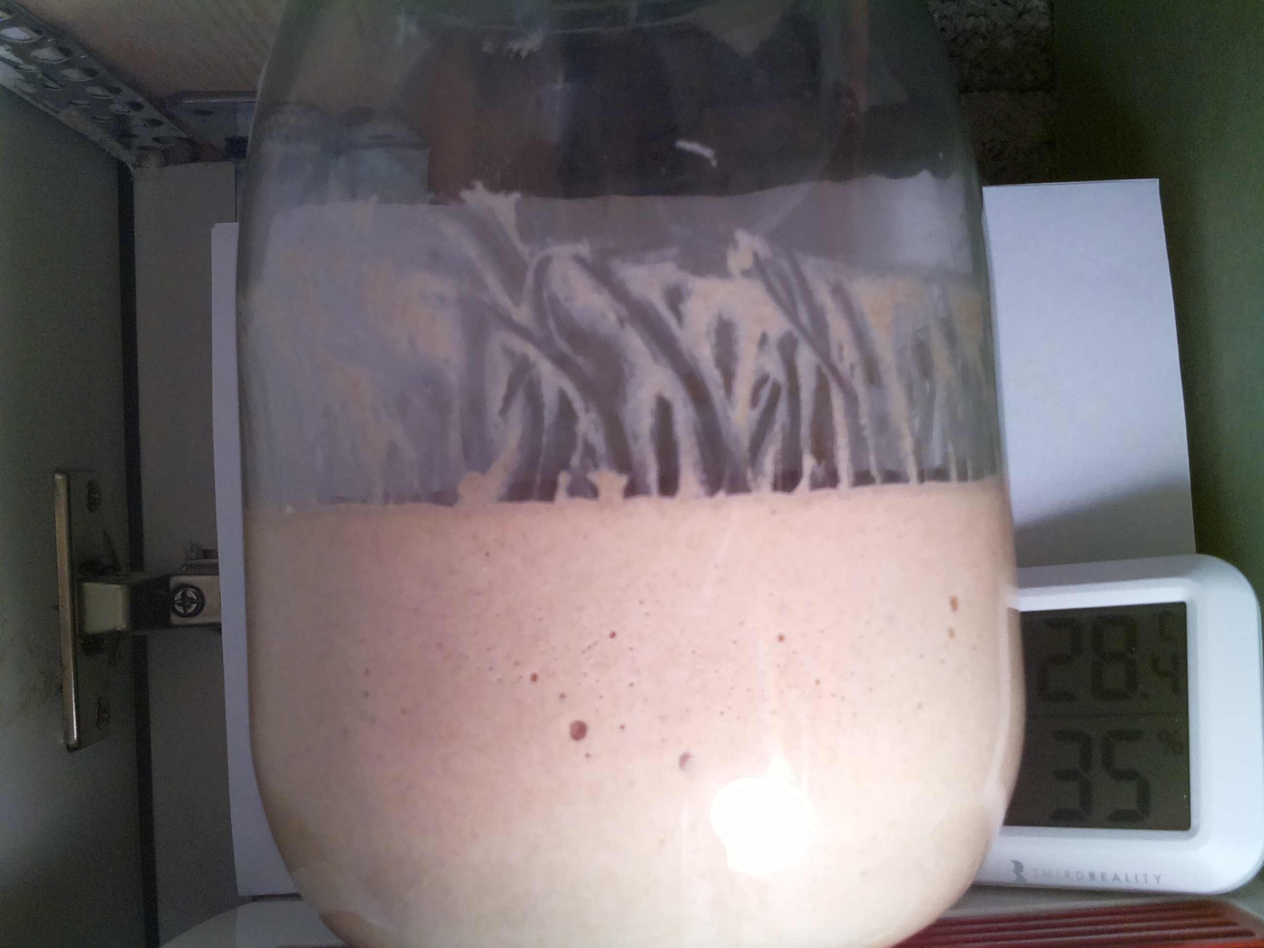 Bild vom Sauerteig