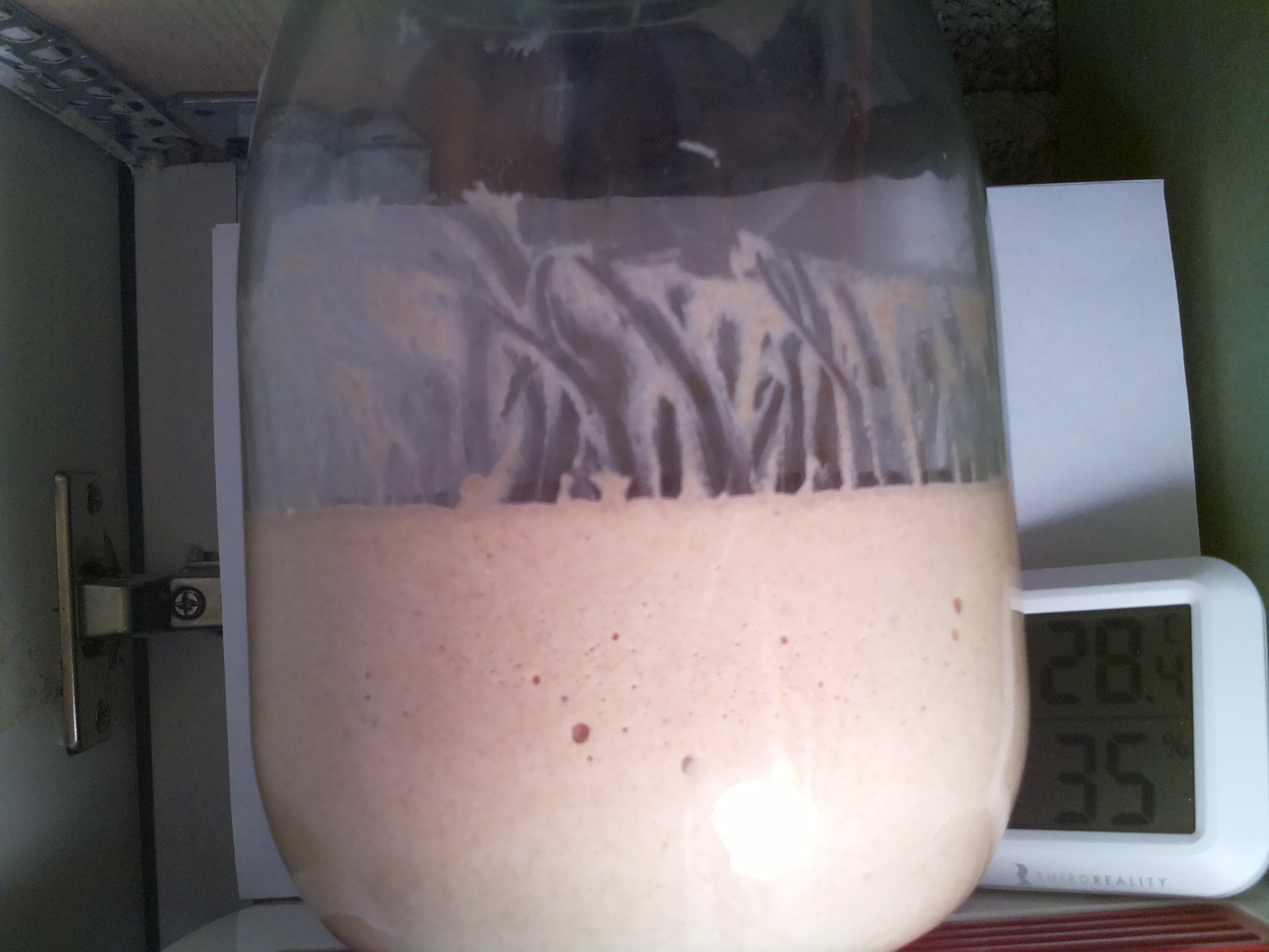 Bild vom Sauerteig