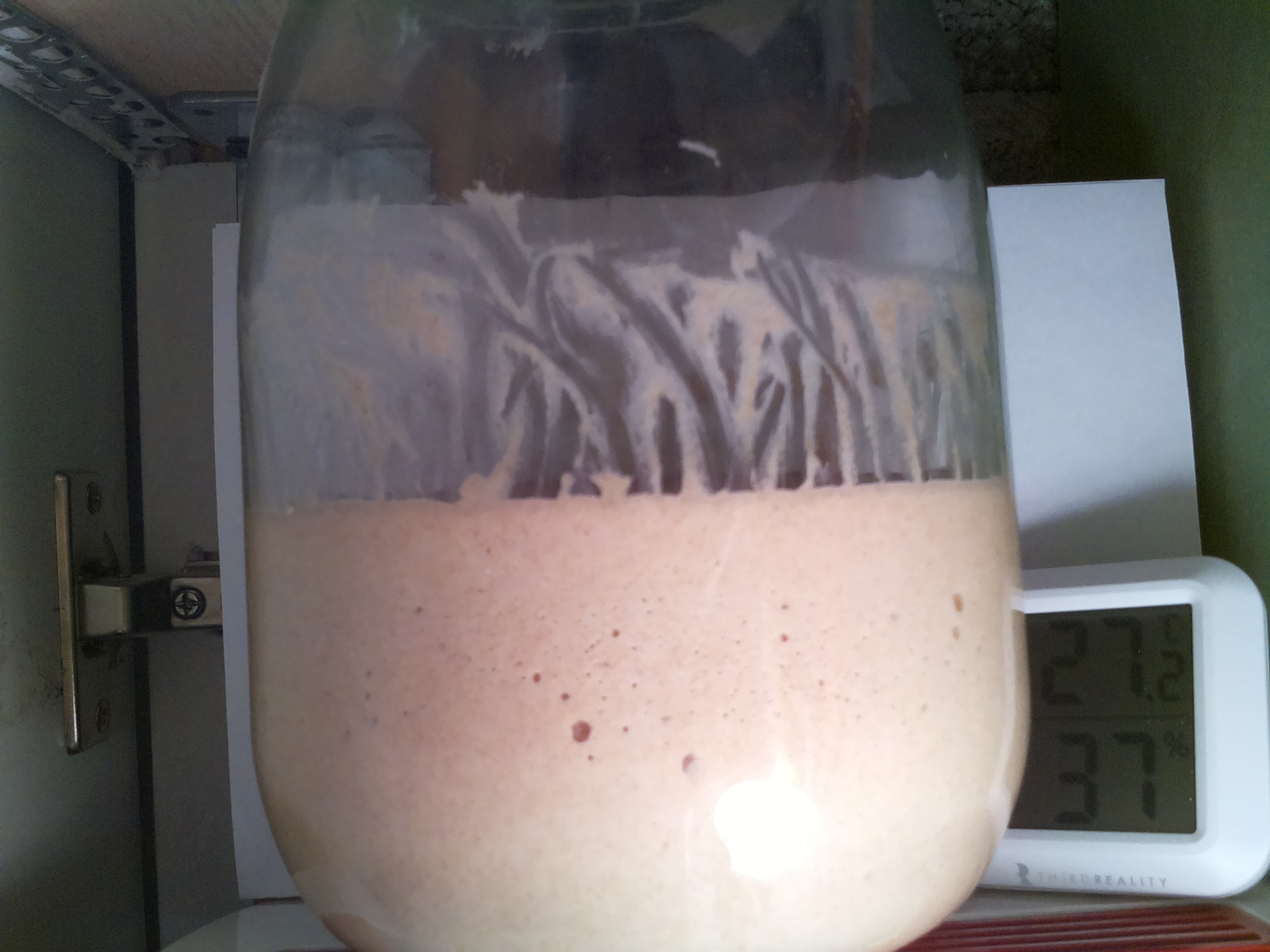 Bild vom Sauerteig