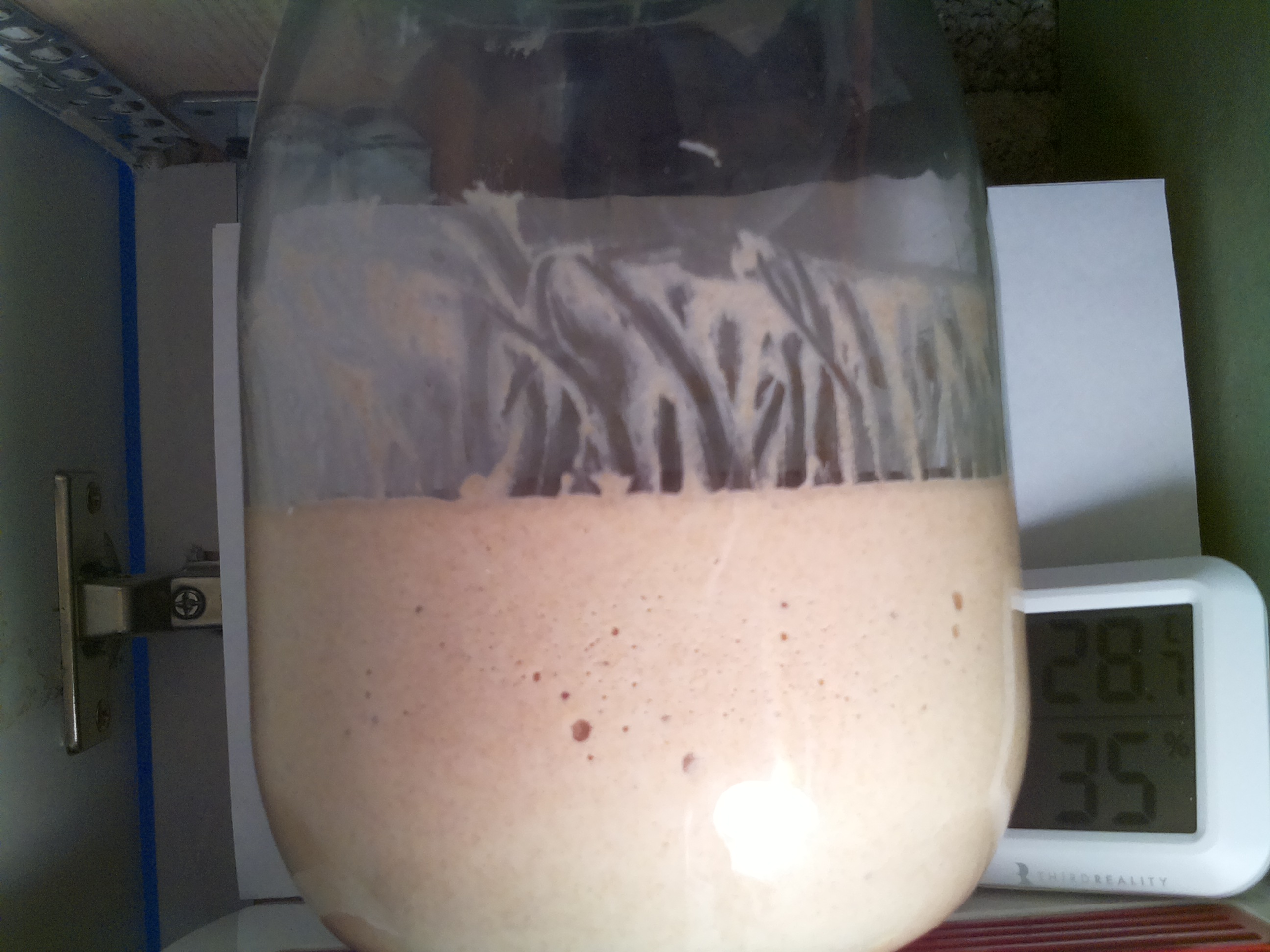 Bild vom Sauerteig