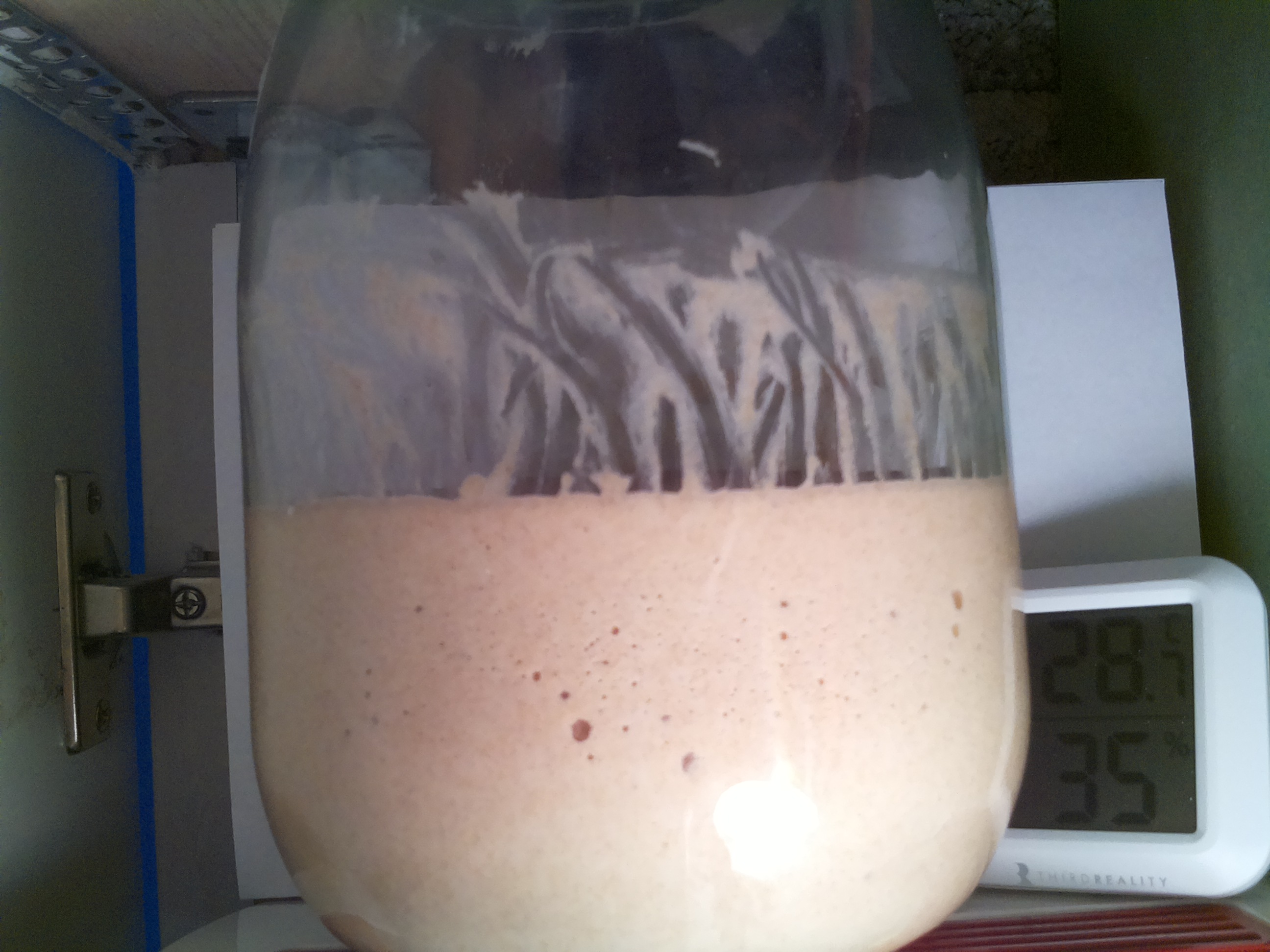 Bild vom Sauerteig