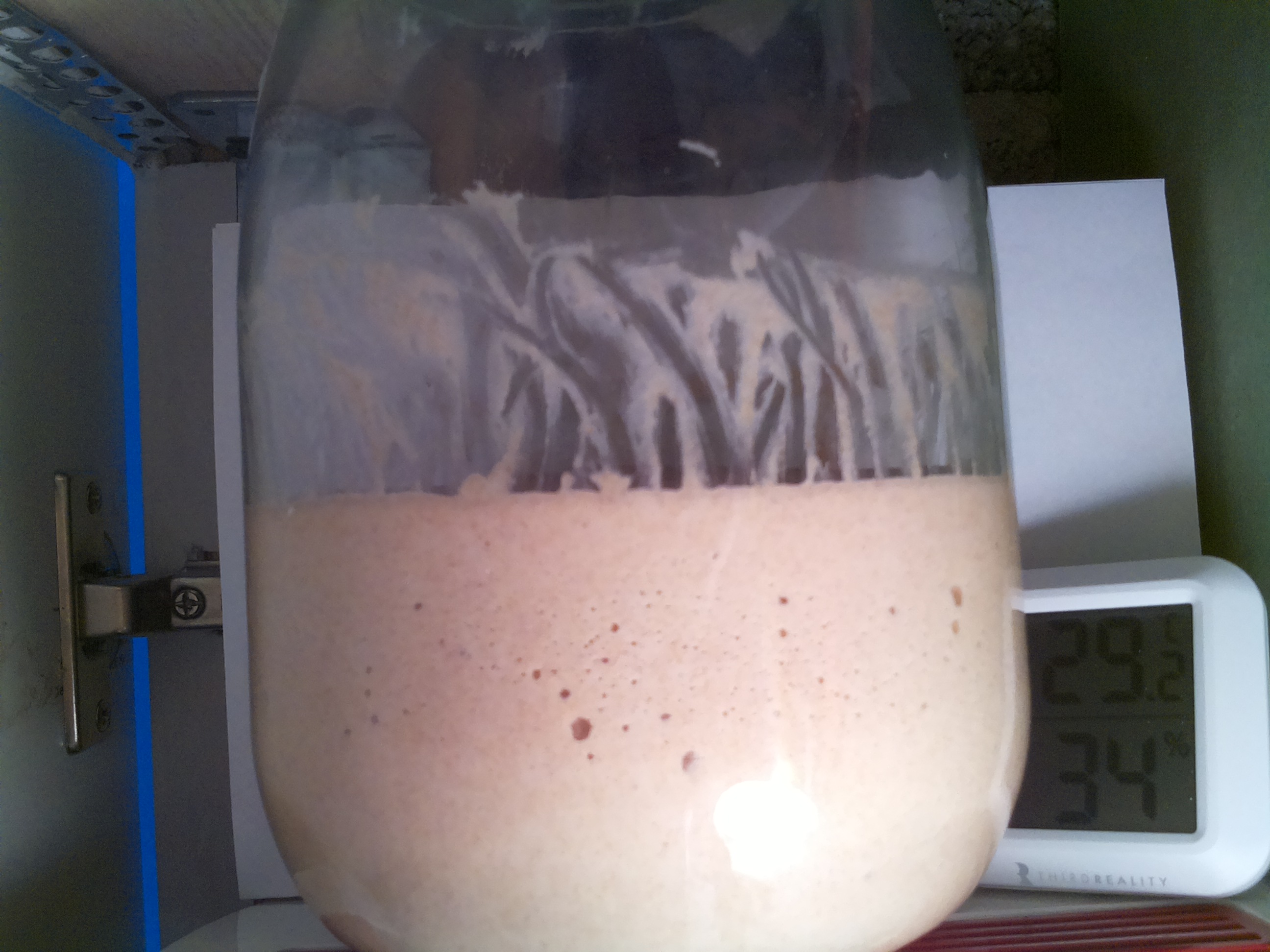 Bild vom Sauerteig