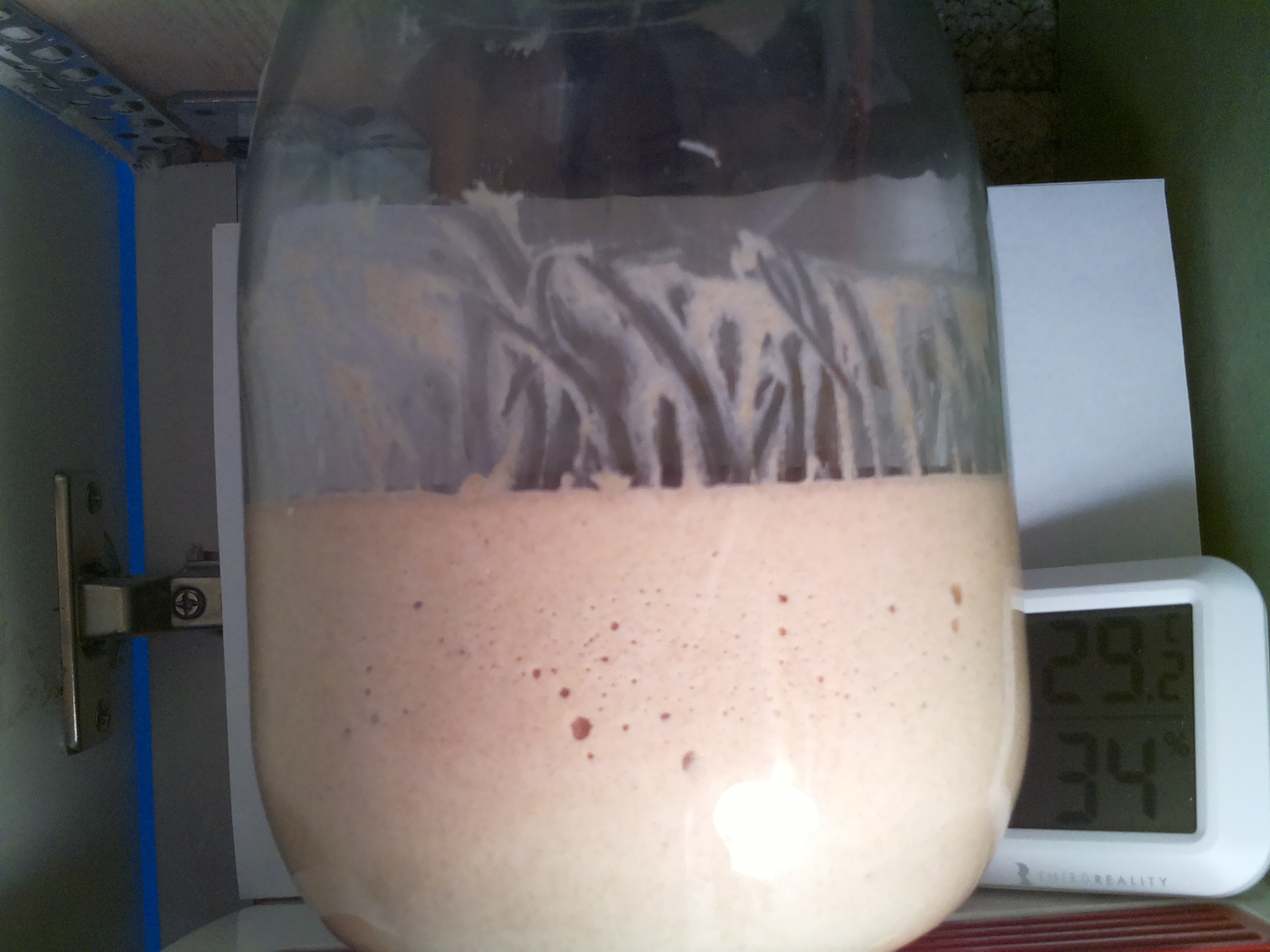 Bild vom Sauerteig