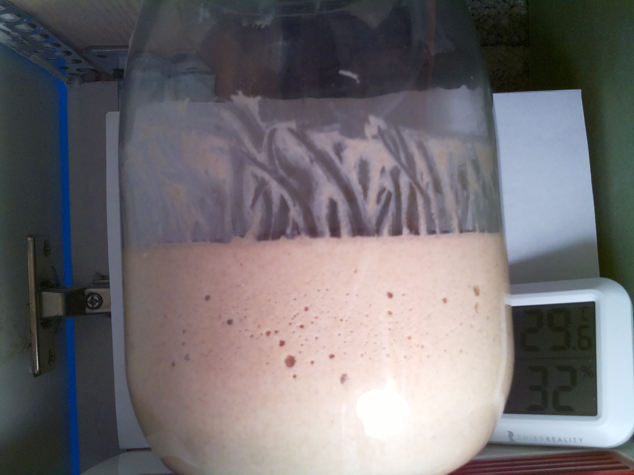Bild vom Sauerteig