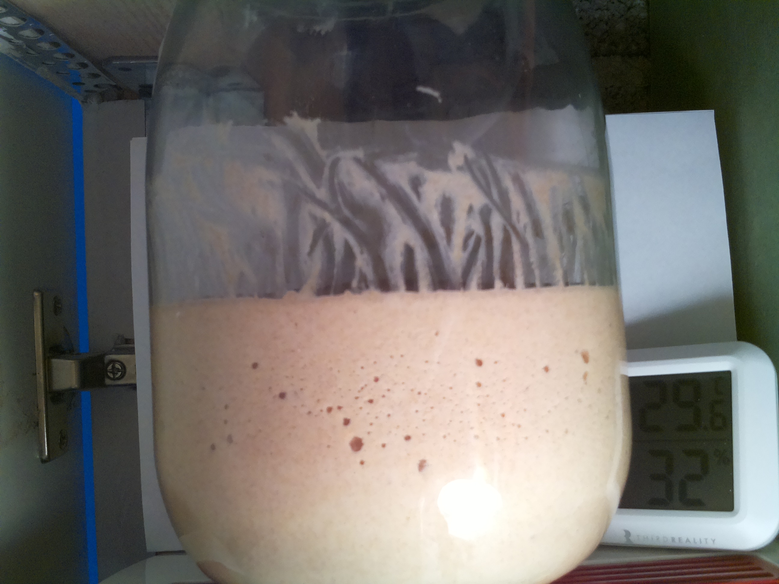 Bild vom Sauerteig