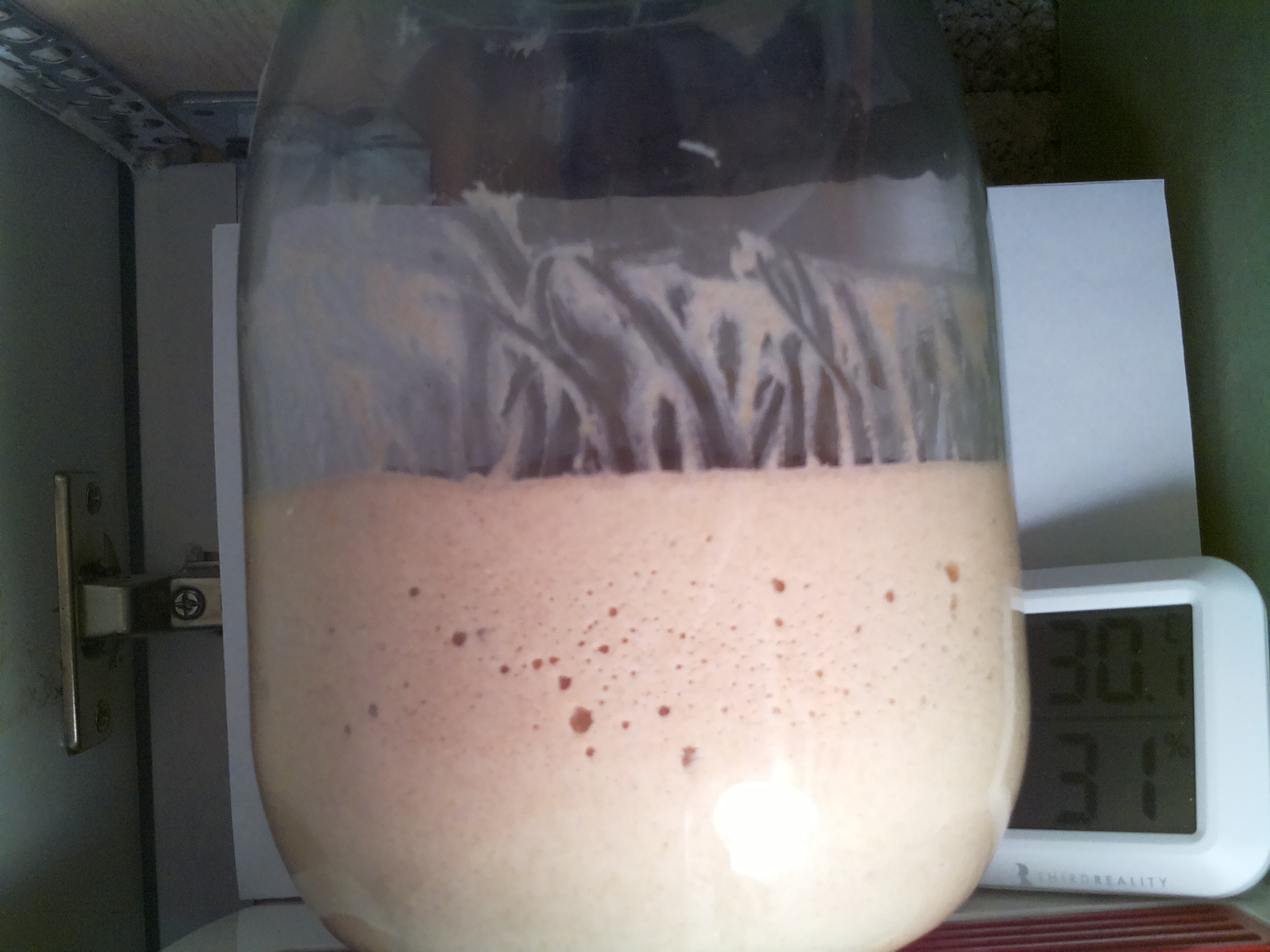 Bild vom Sauerteig