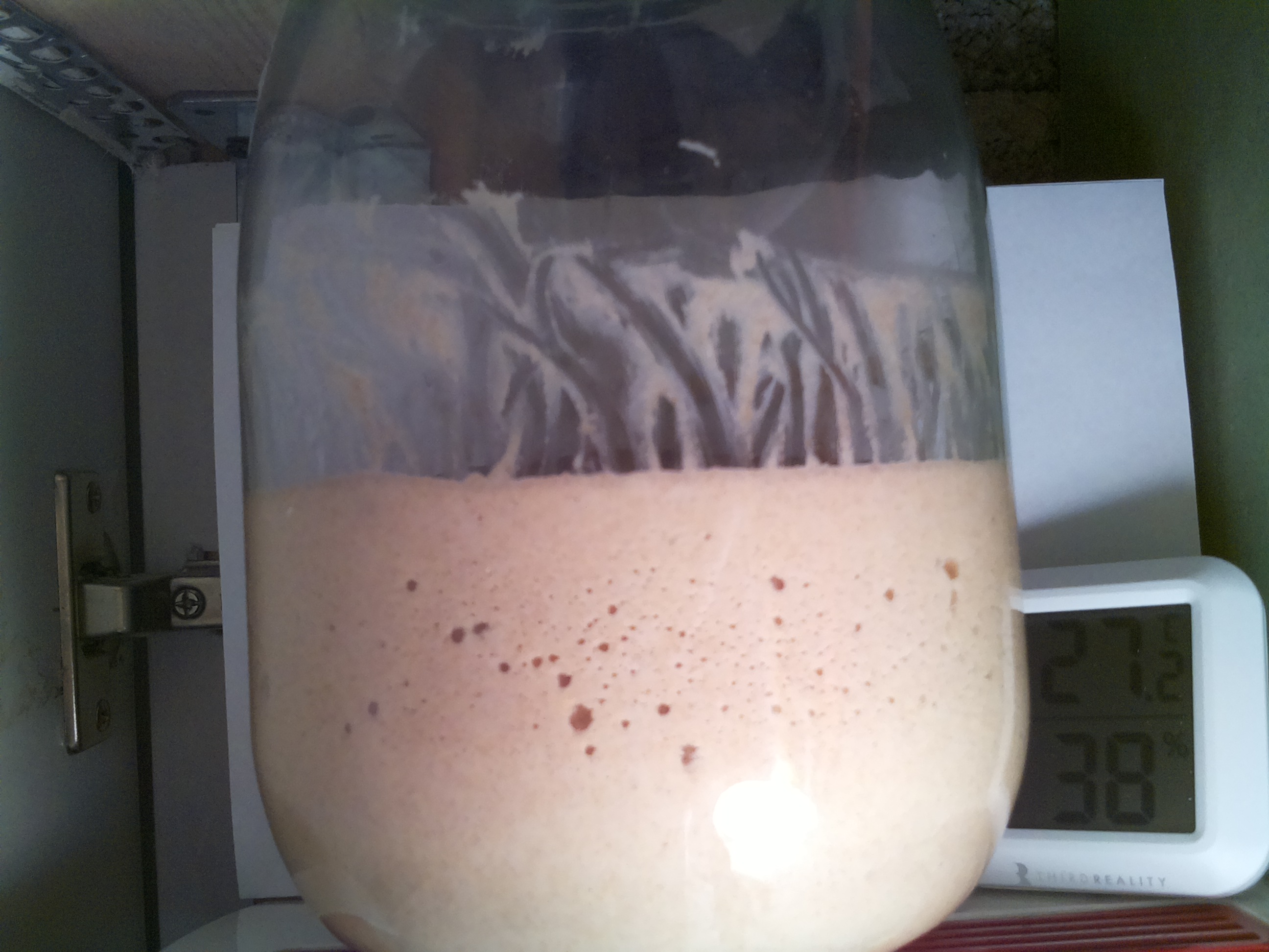 Bild vom Sauerteig