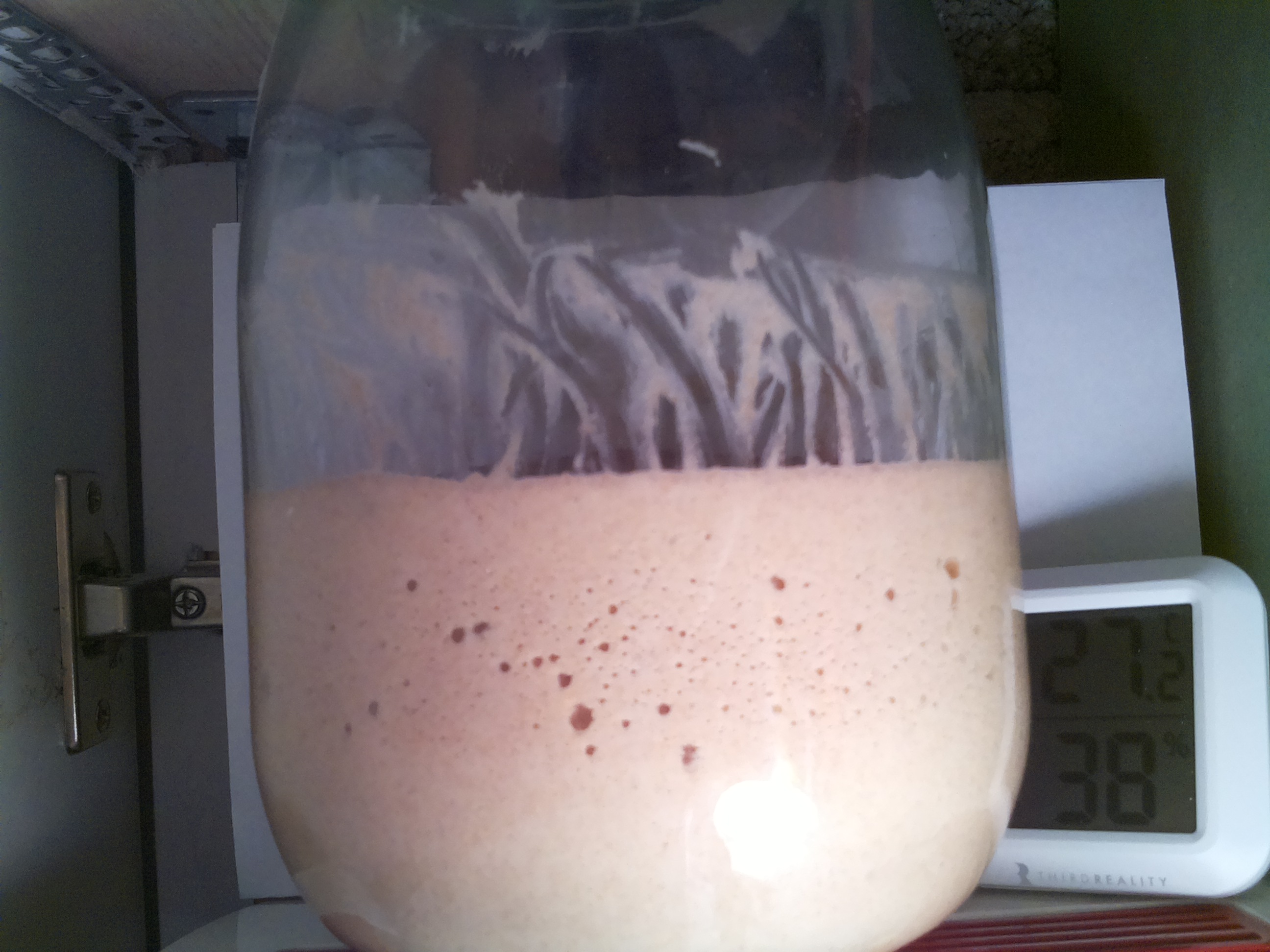 Bild vom Sauerteig