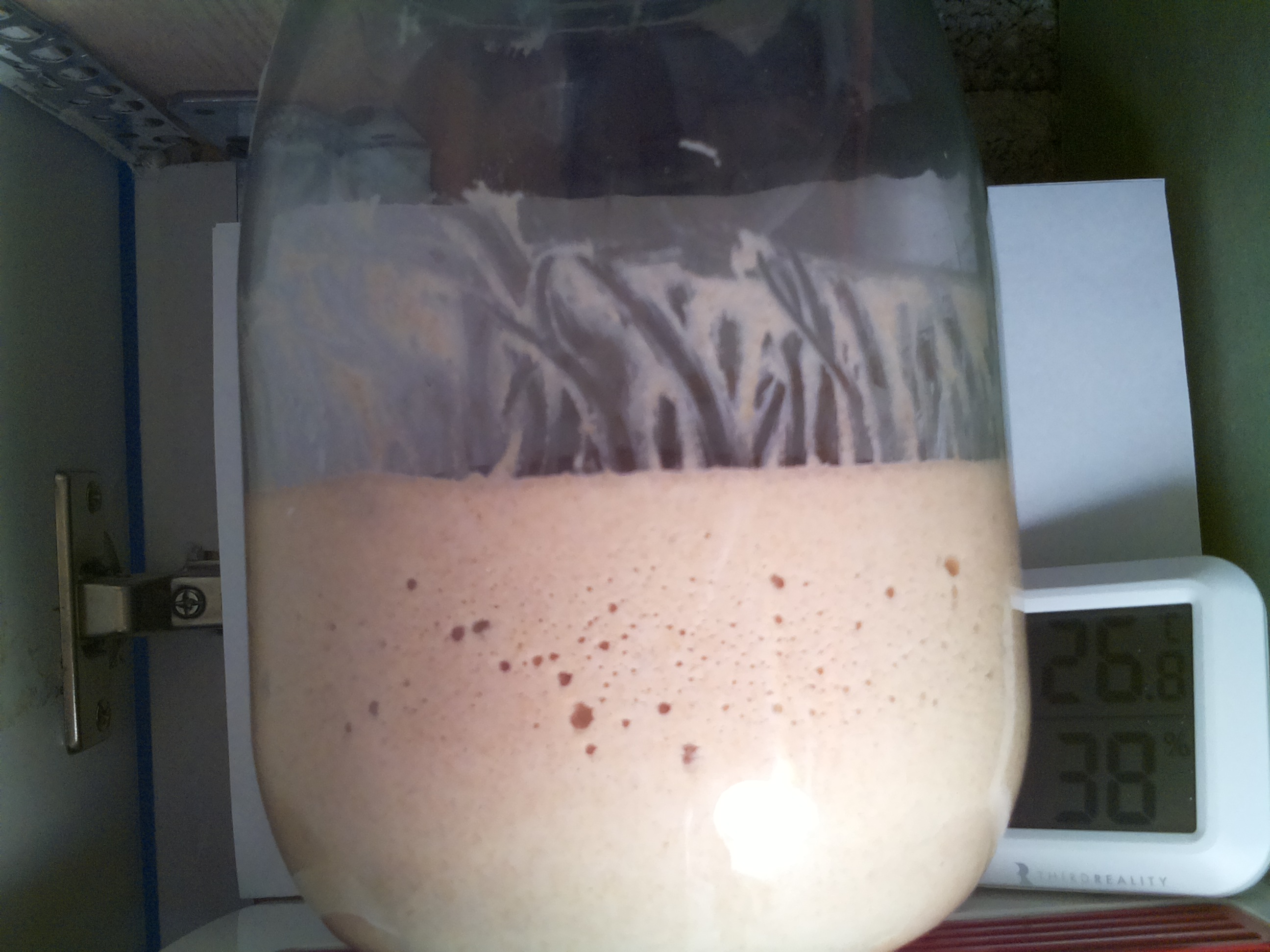 Bild vom Sauerteig