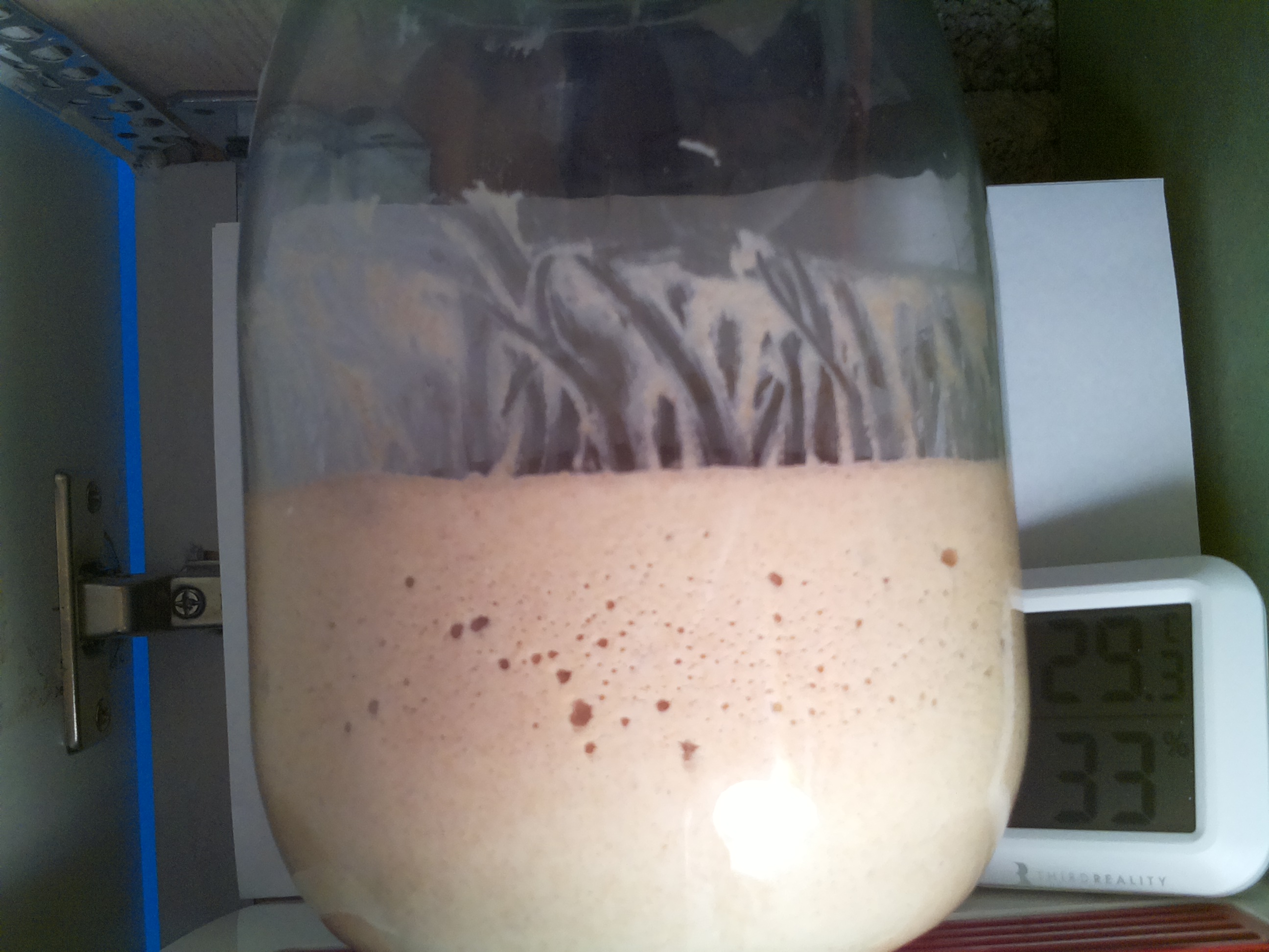 Bild vom Sauerteig