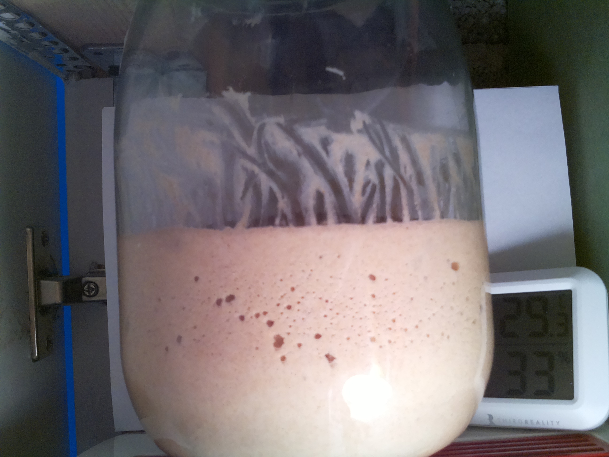 Bild vom Sauerteig