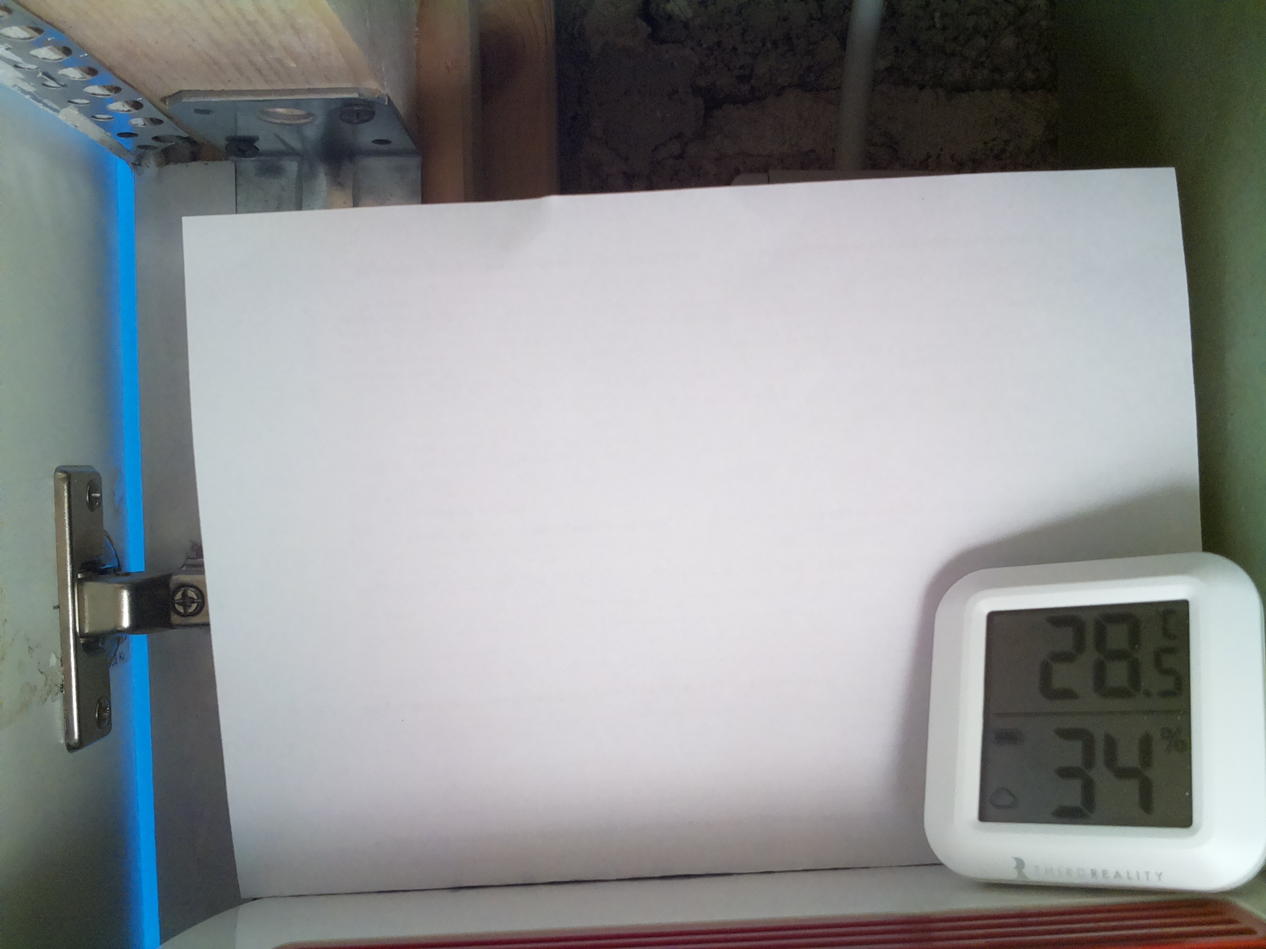 Bild vom Sauerteig
