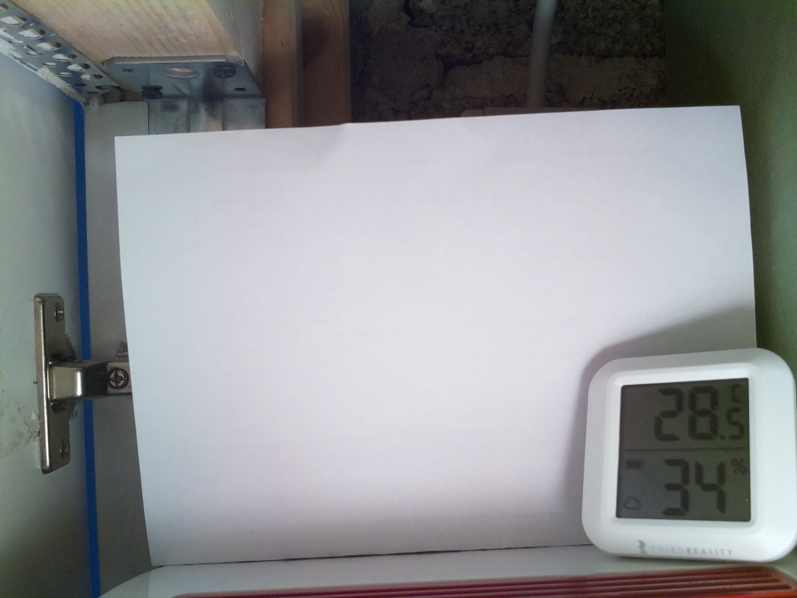 Bild vom Sauerteig