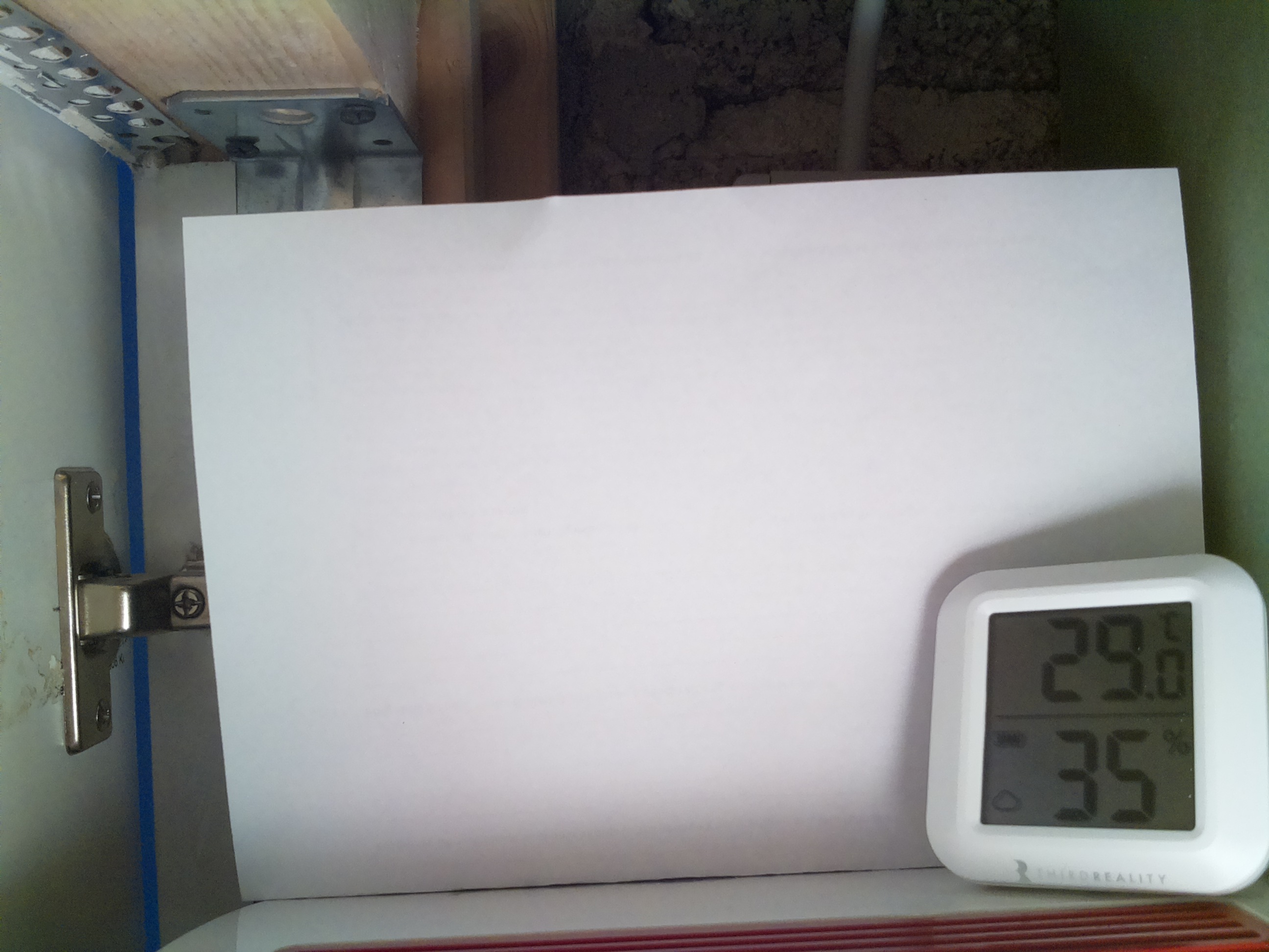 Bild vom Sauerteig