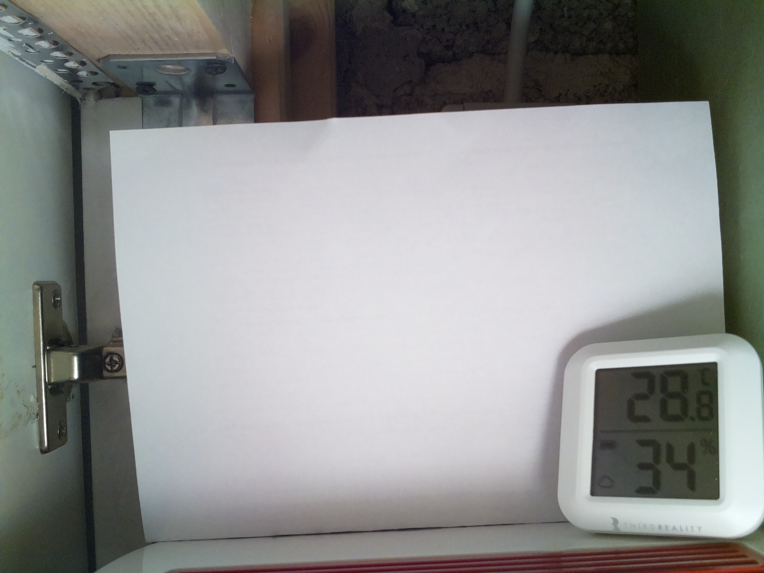 Bild vom Sauerteig