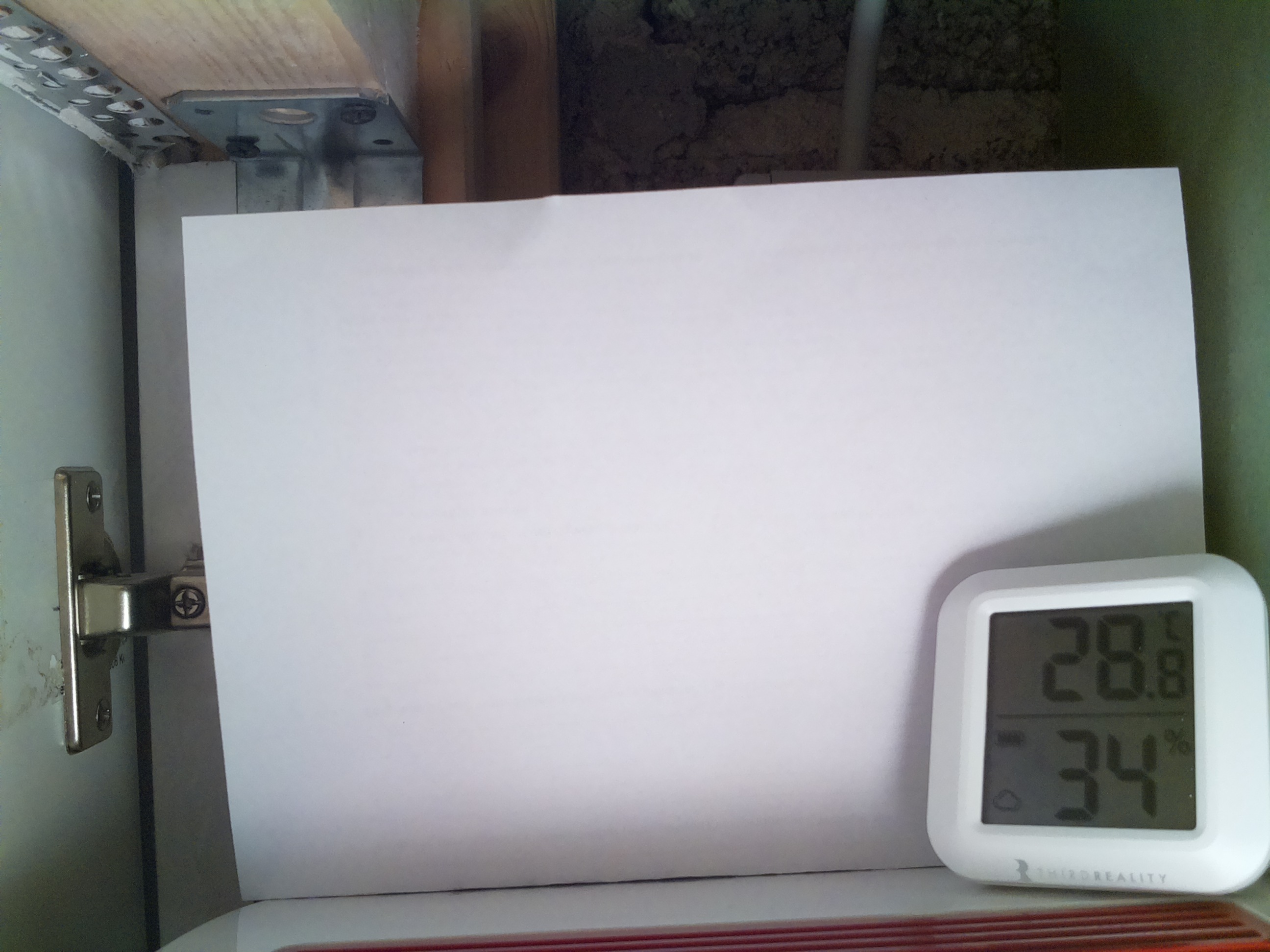 Bild vom Sauerteig