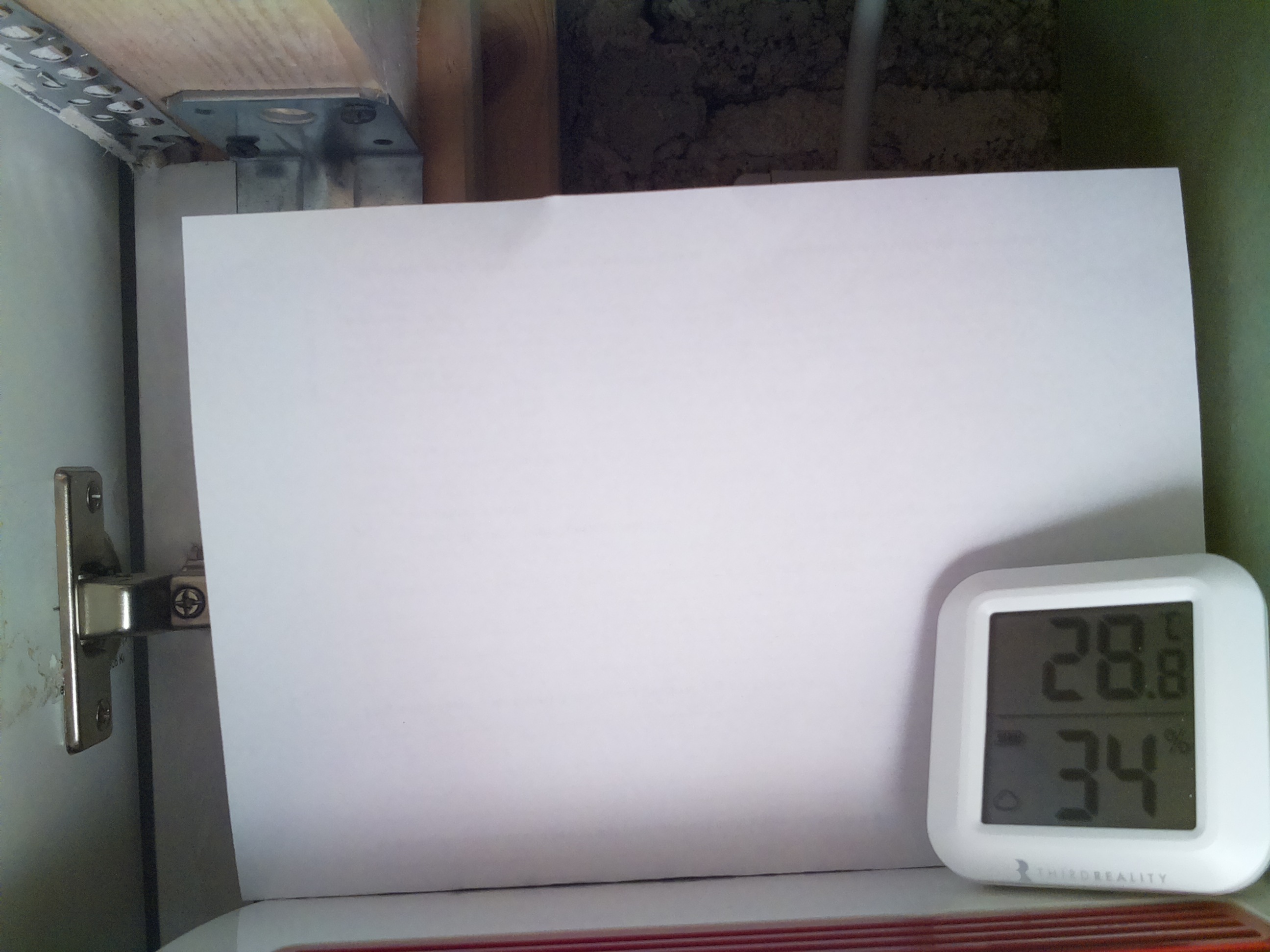 Bild vom Sauerteig