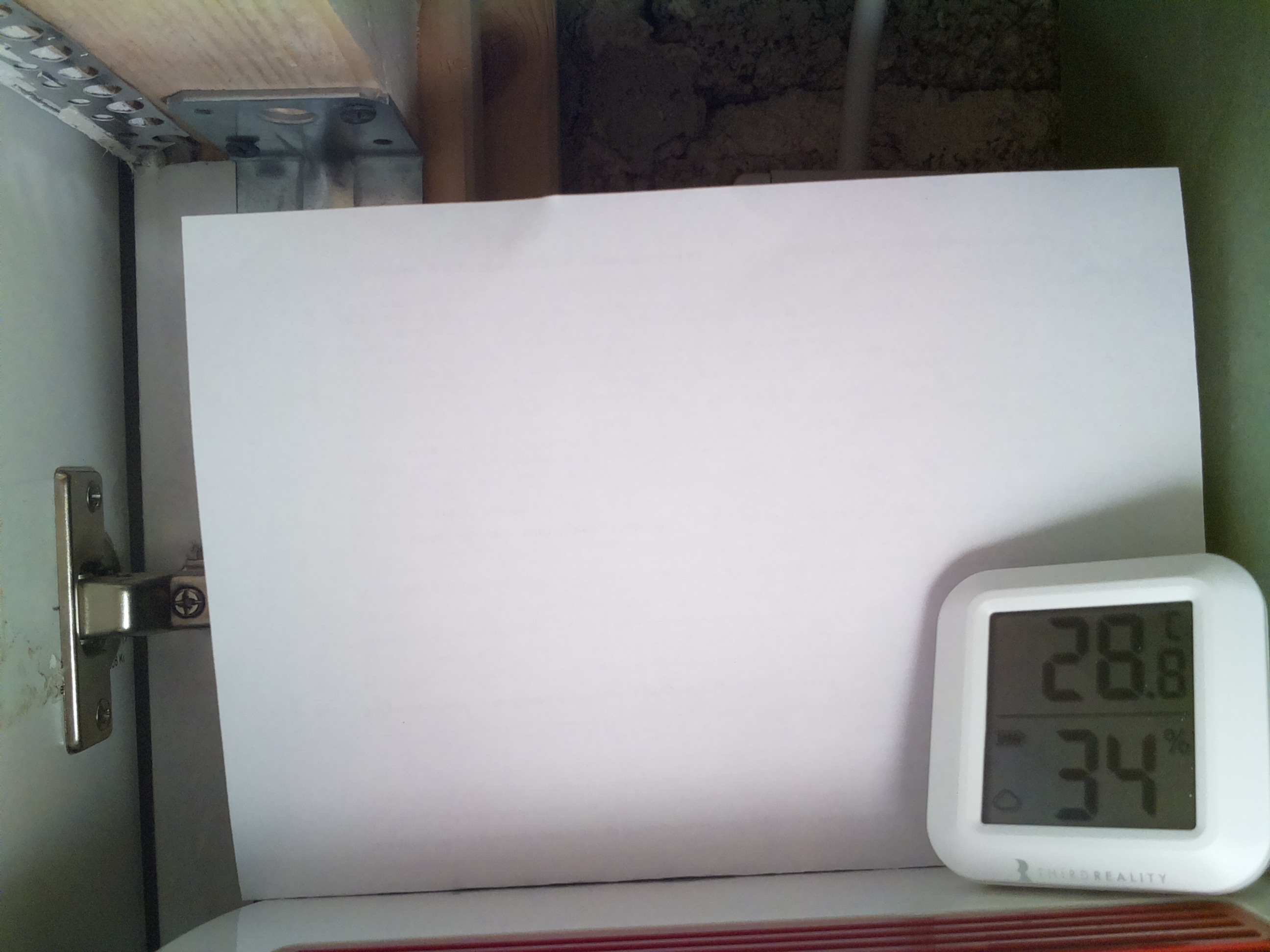 Bild vom Sauerteig