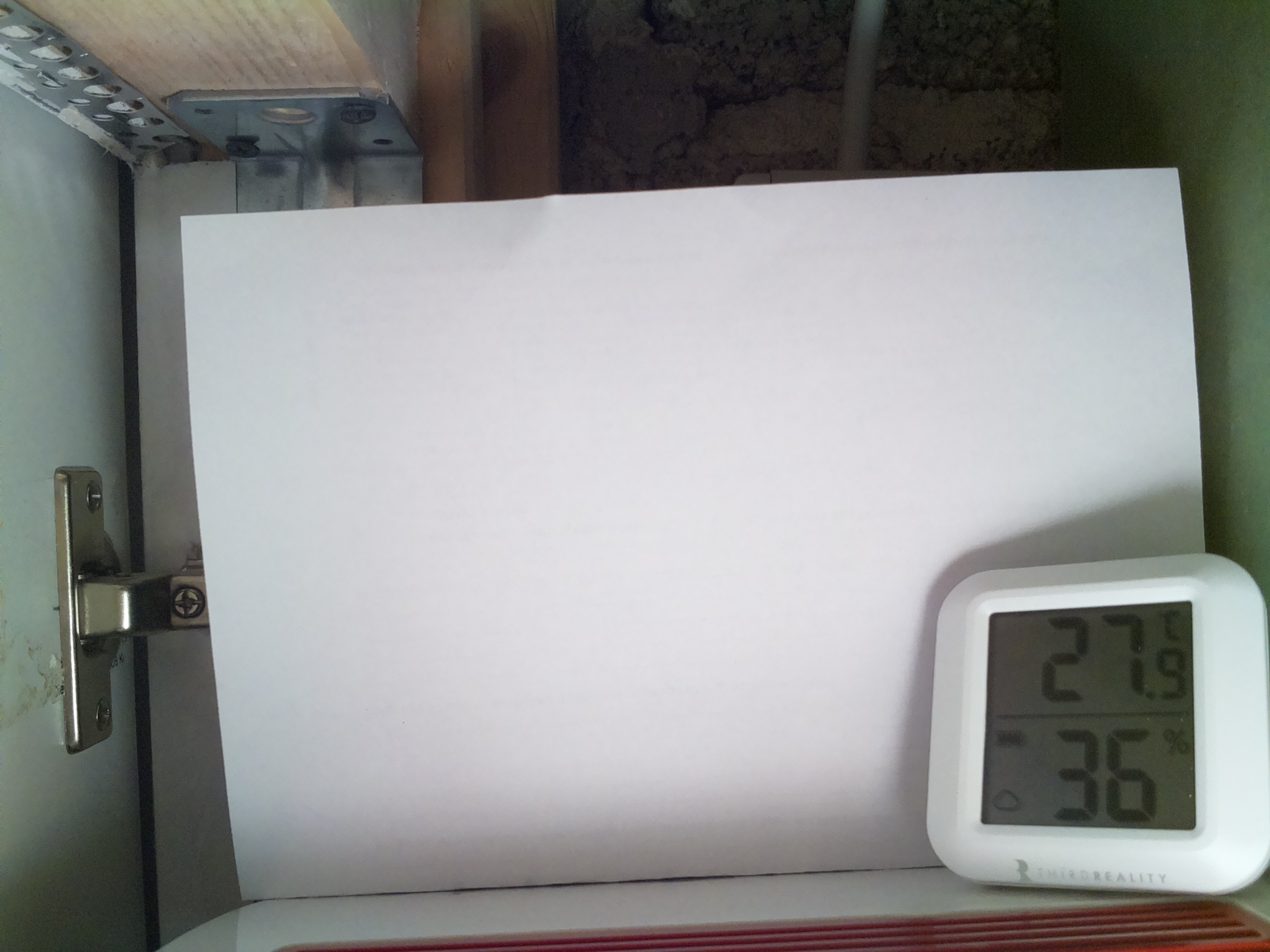 Bild vom Sauerteig
