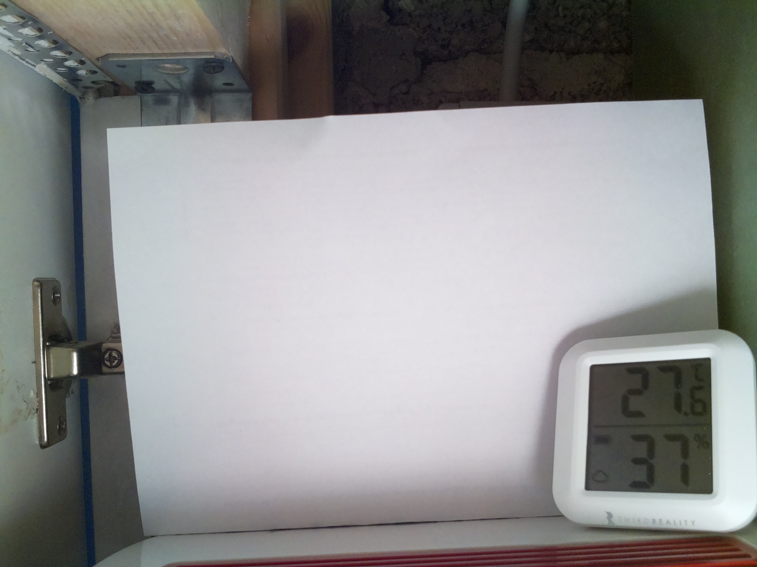 Bild vom Sauerteig