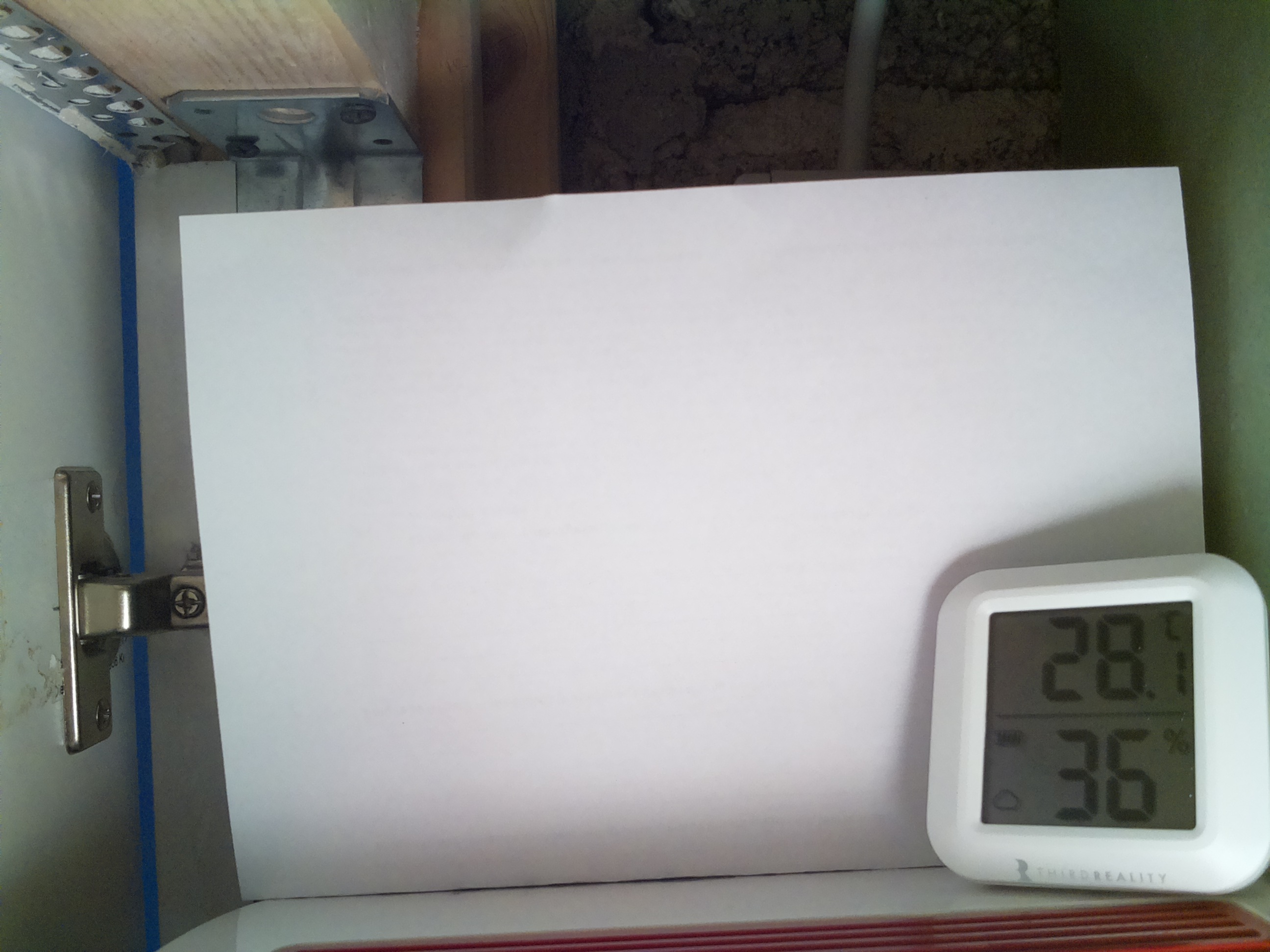 Bild vom Sauerteig