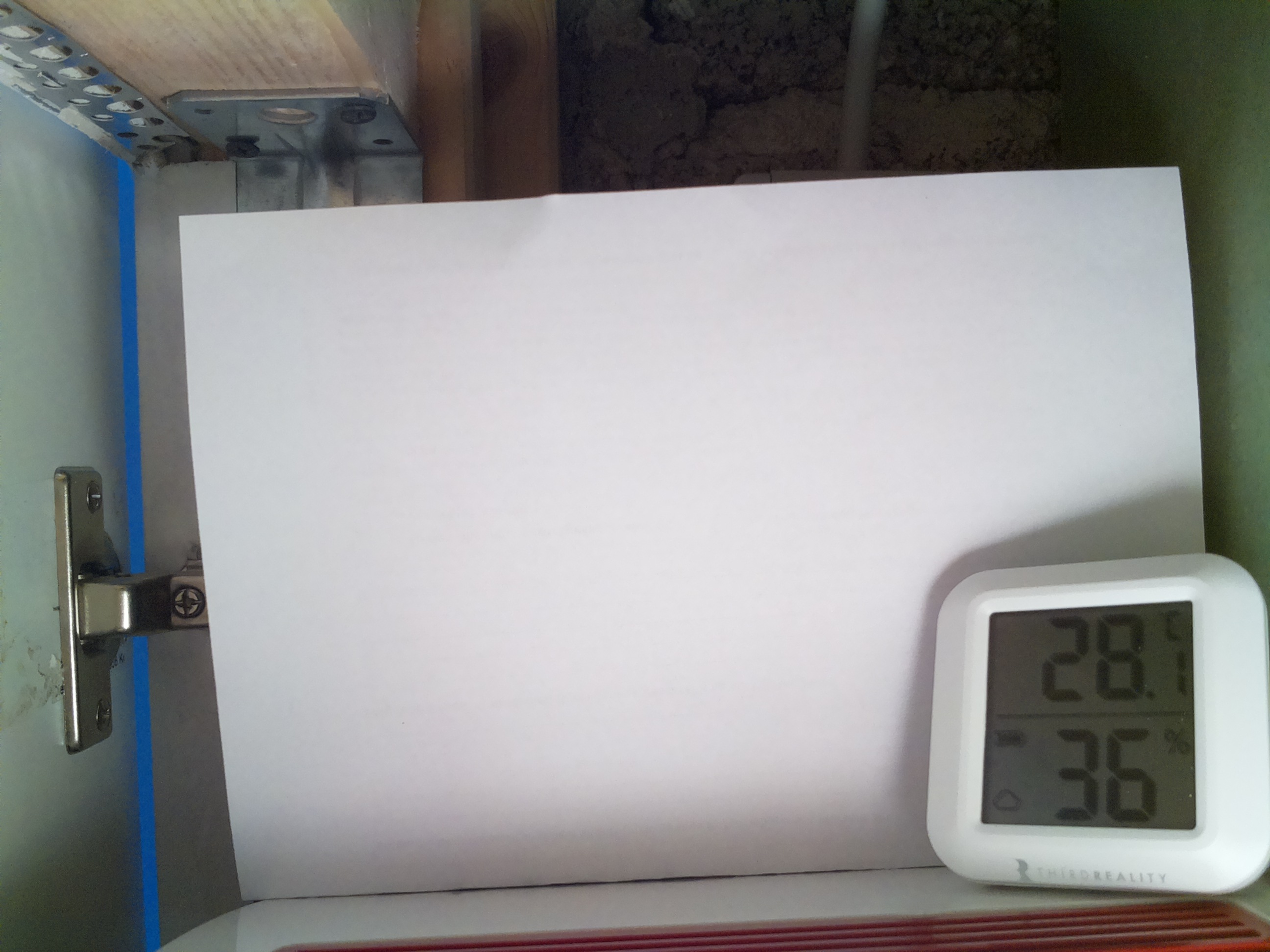 Bild vom Sauerteig
