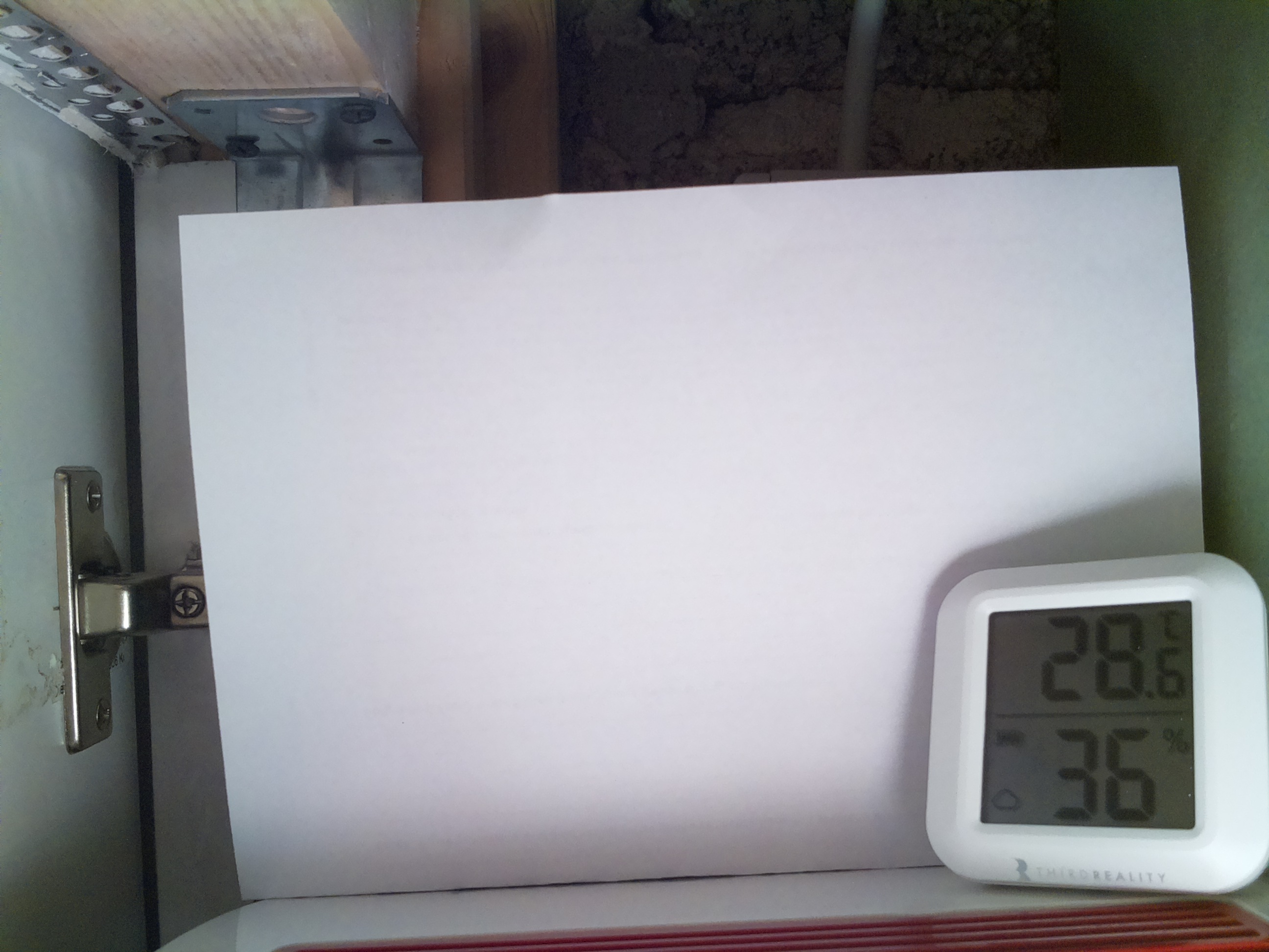 Bild vom Sauerteig