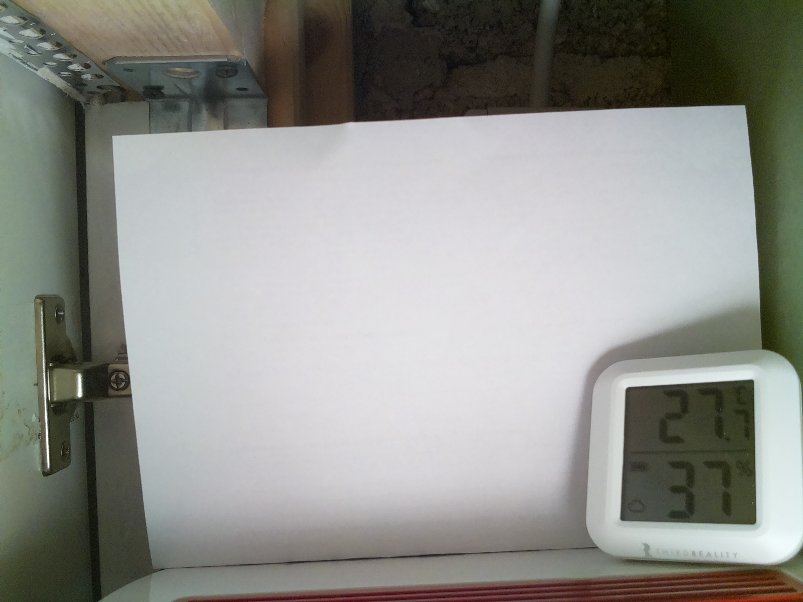Bild vom Sauerteig