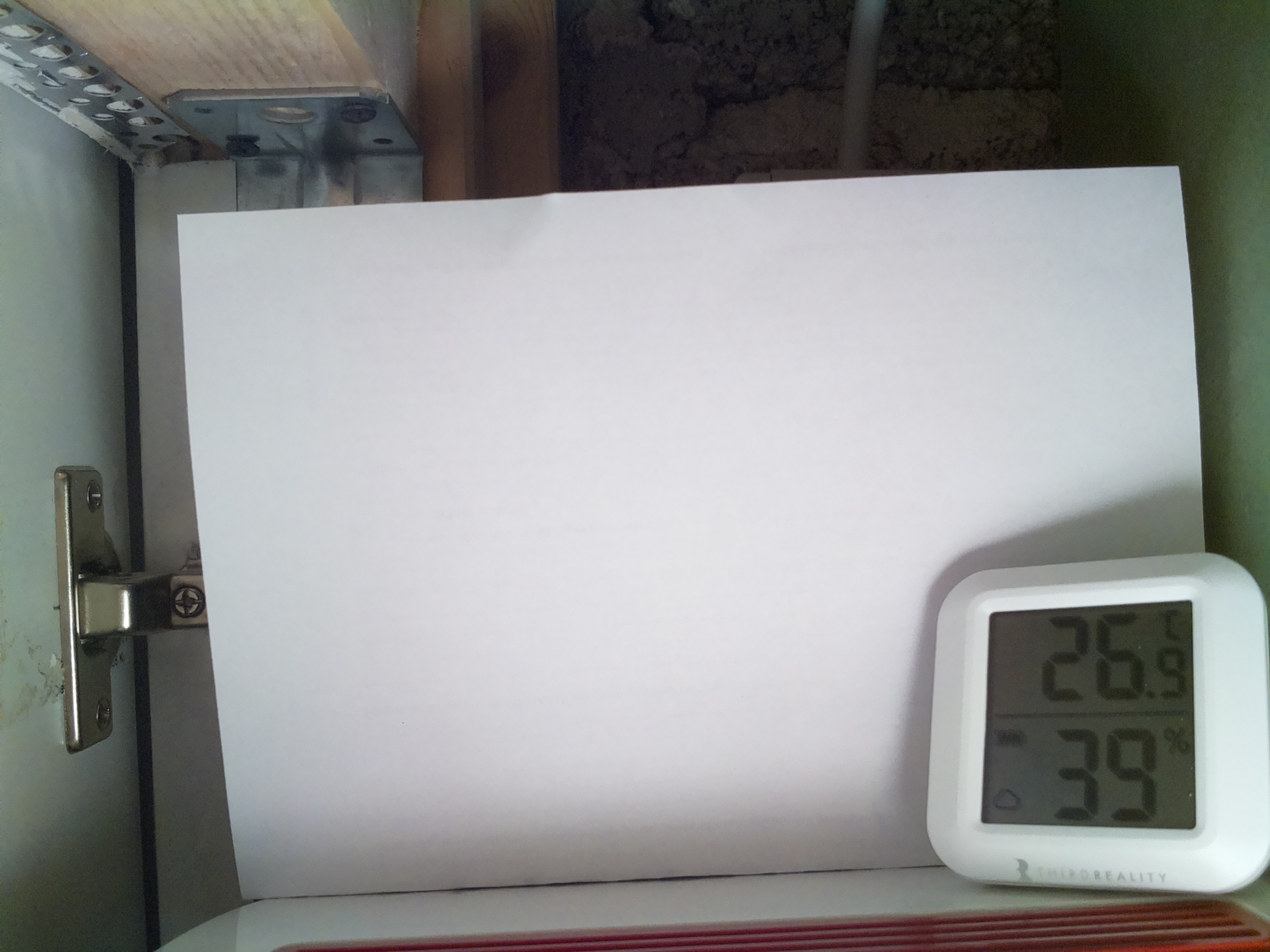 Bild vom Sauerteig