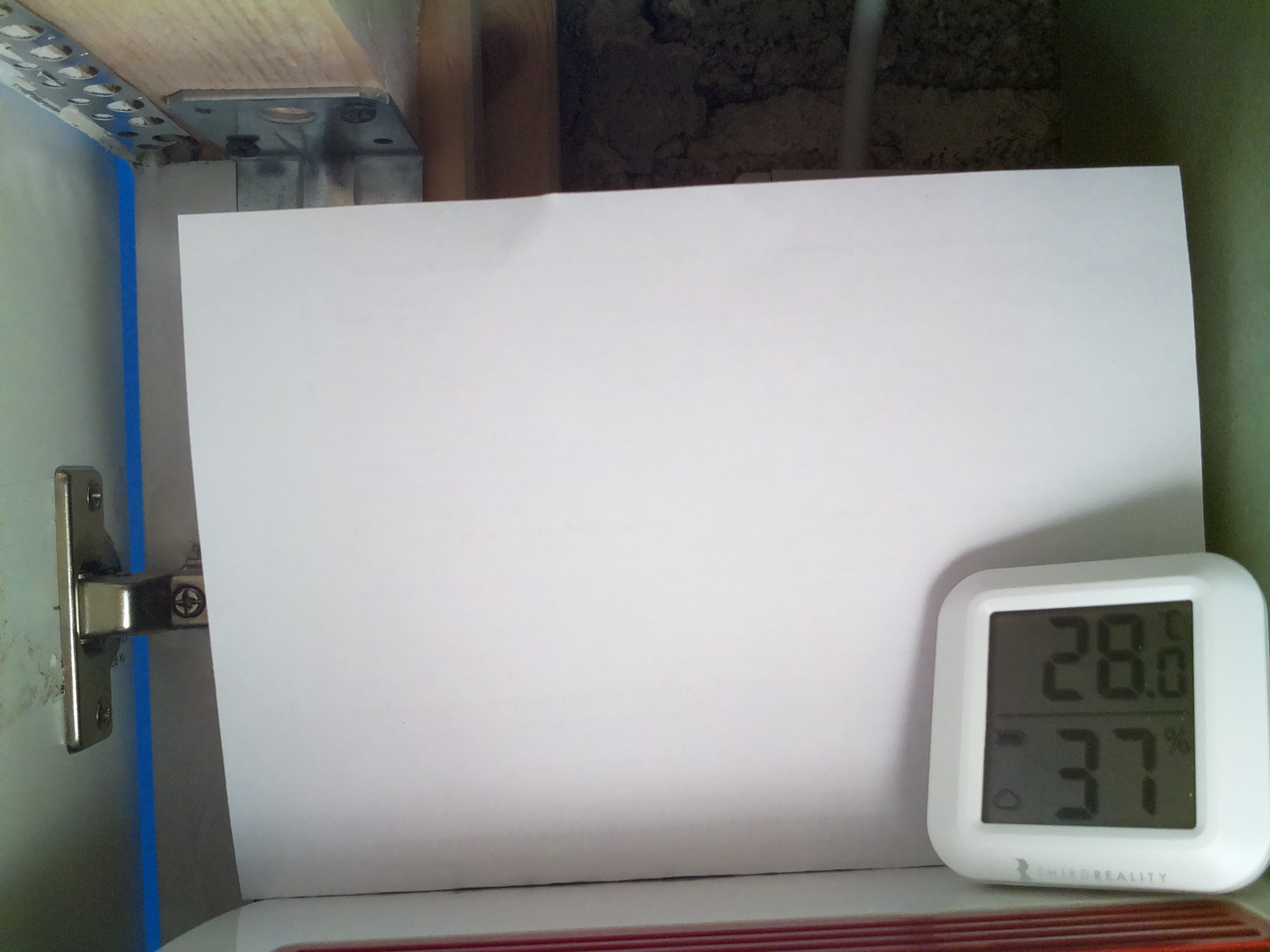 Bild vom Sauerteig