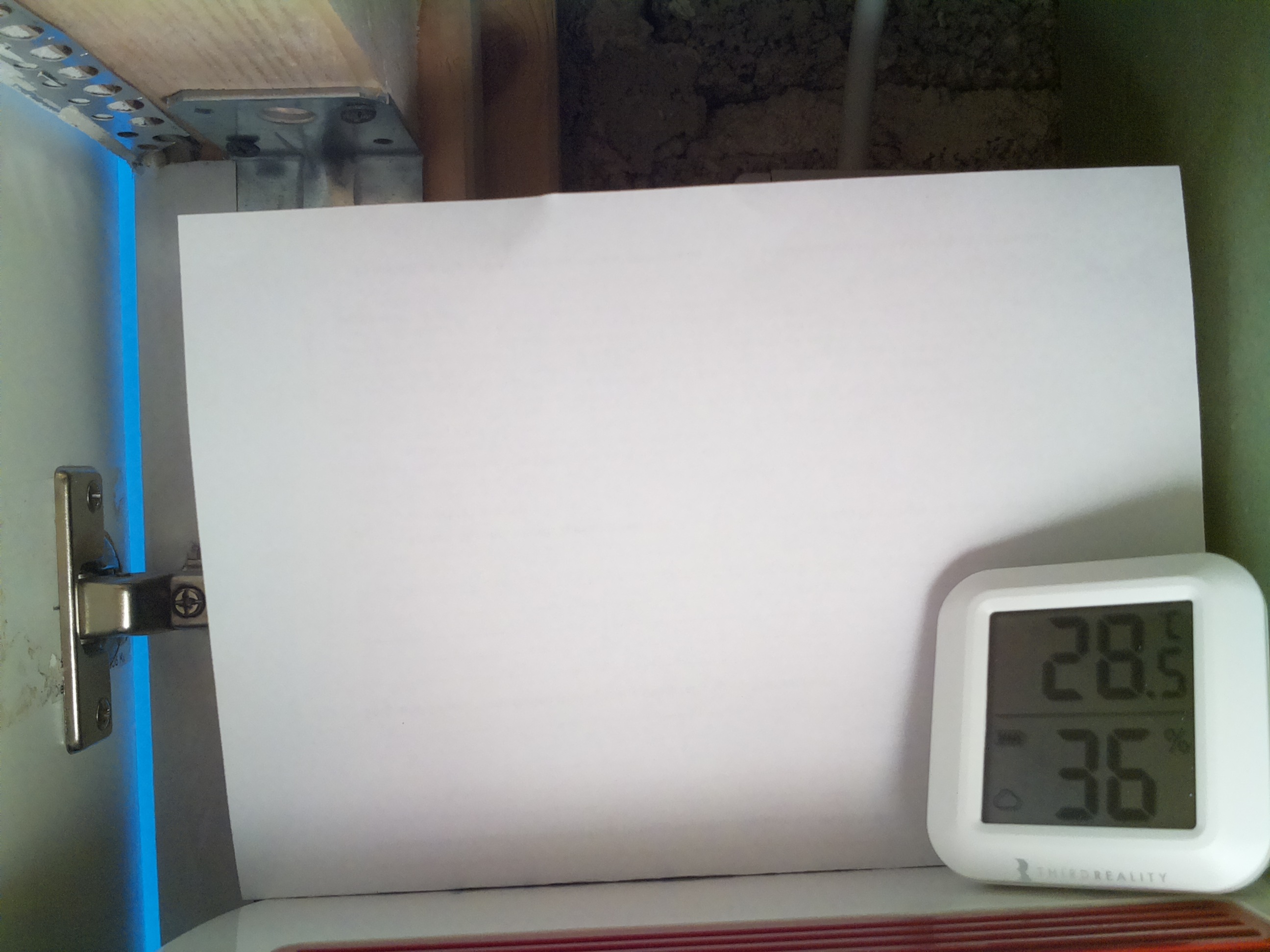 Bild vom Sauerteig