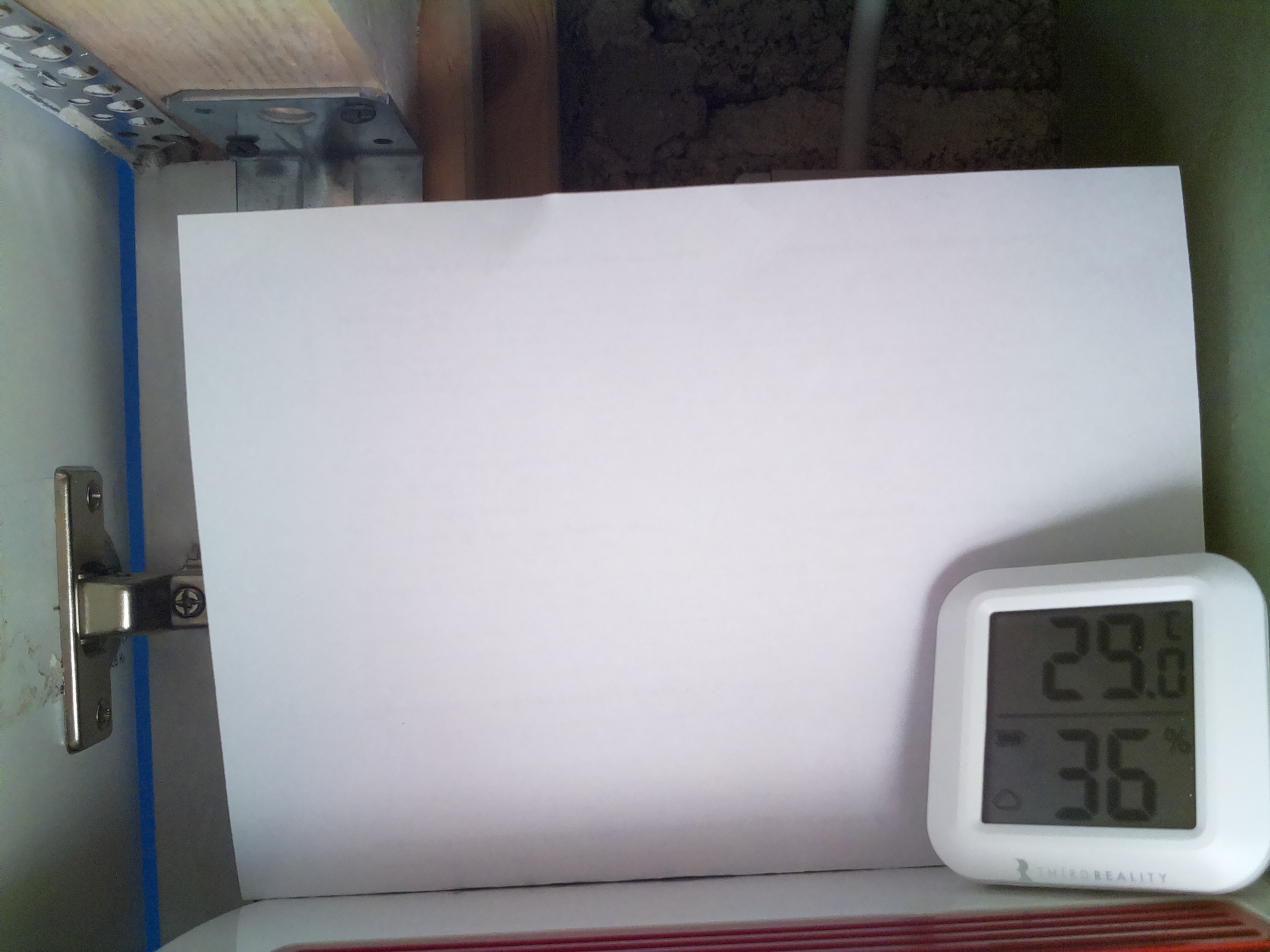 Bild vom Sauerteig