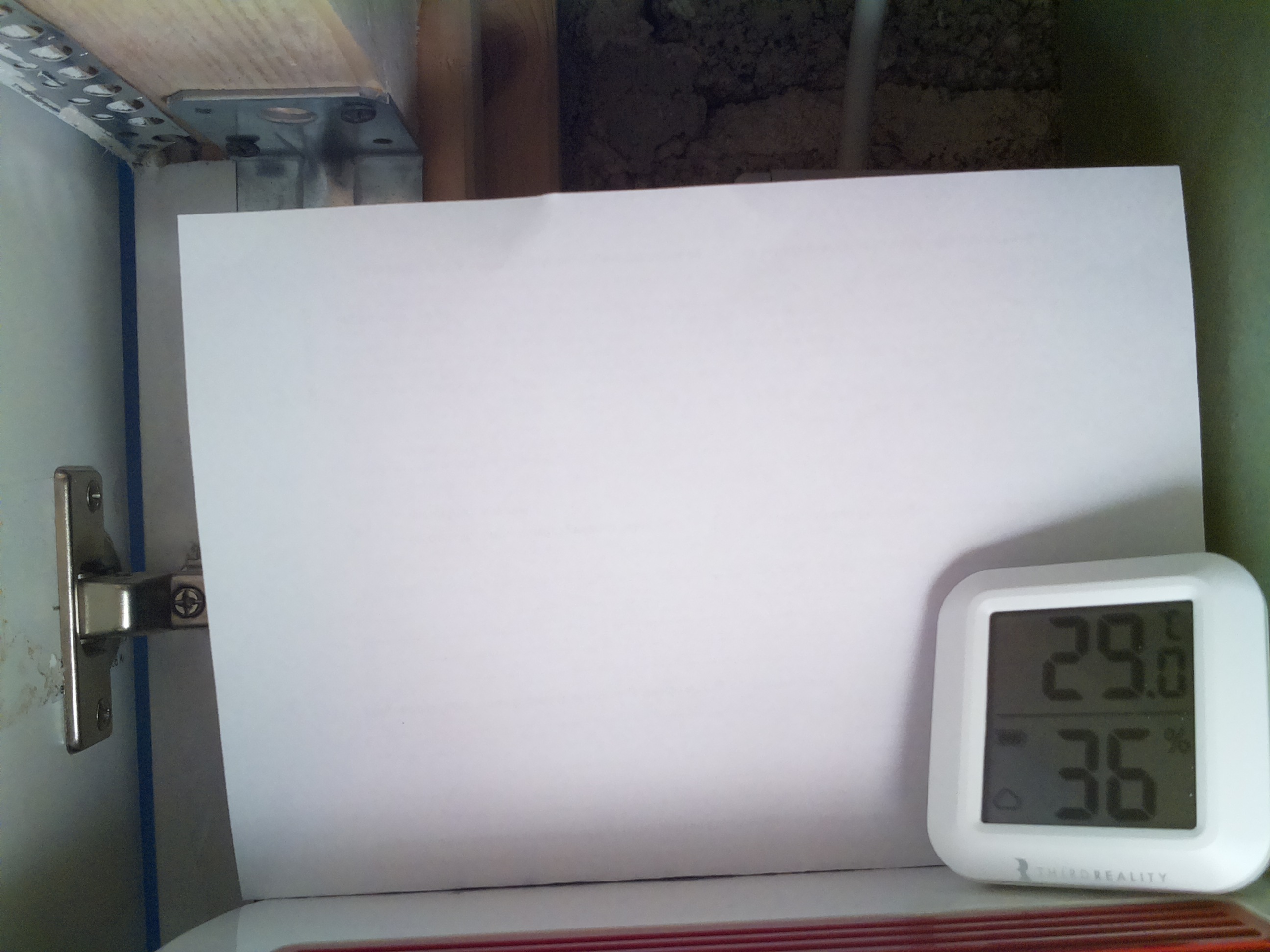 Bild vom Sauerteig