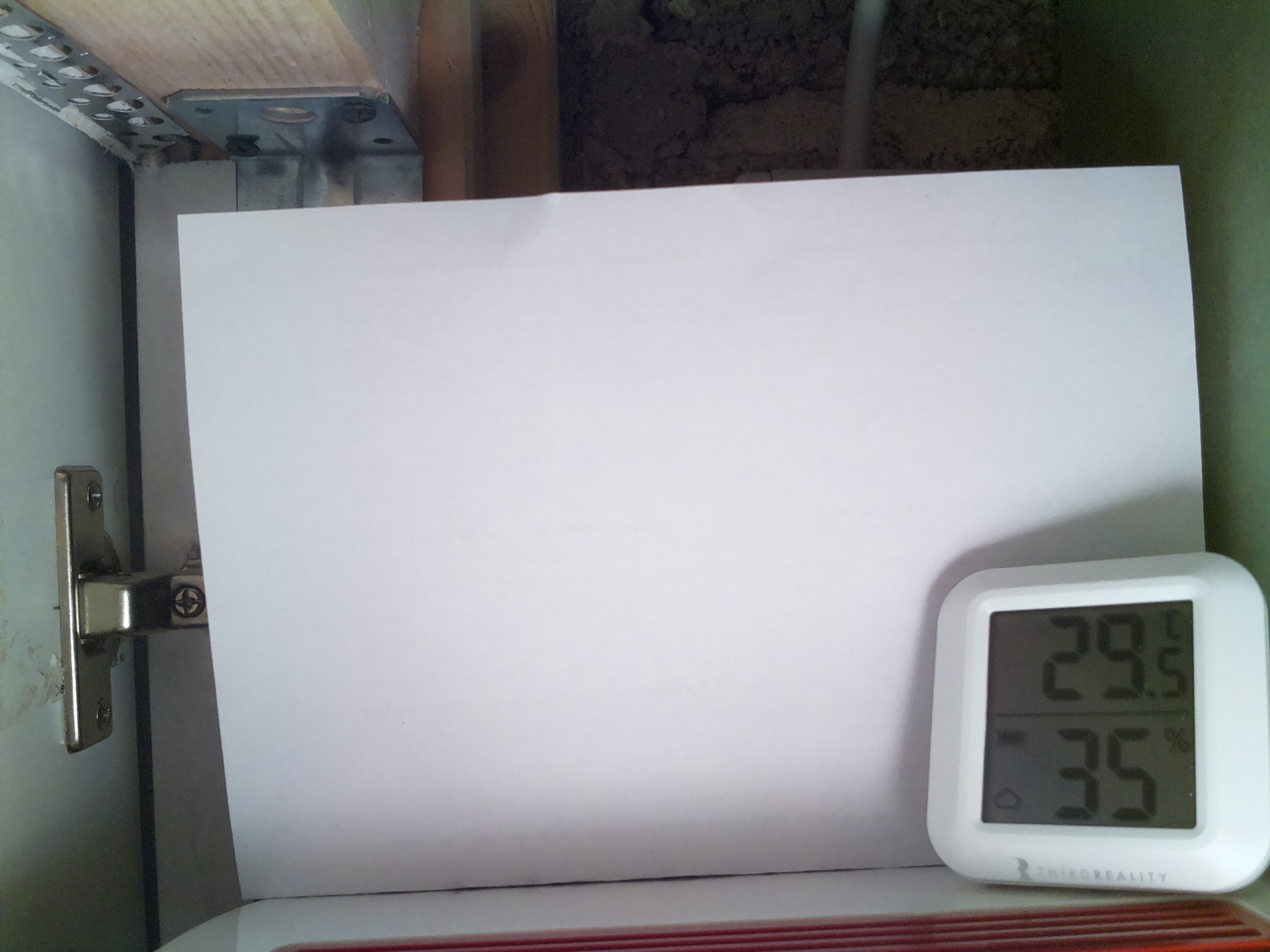 Bild vom Sauerteig