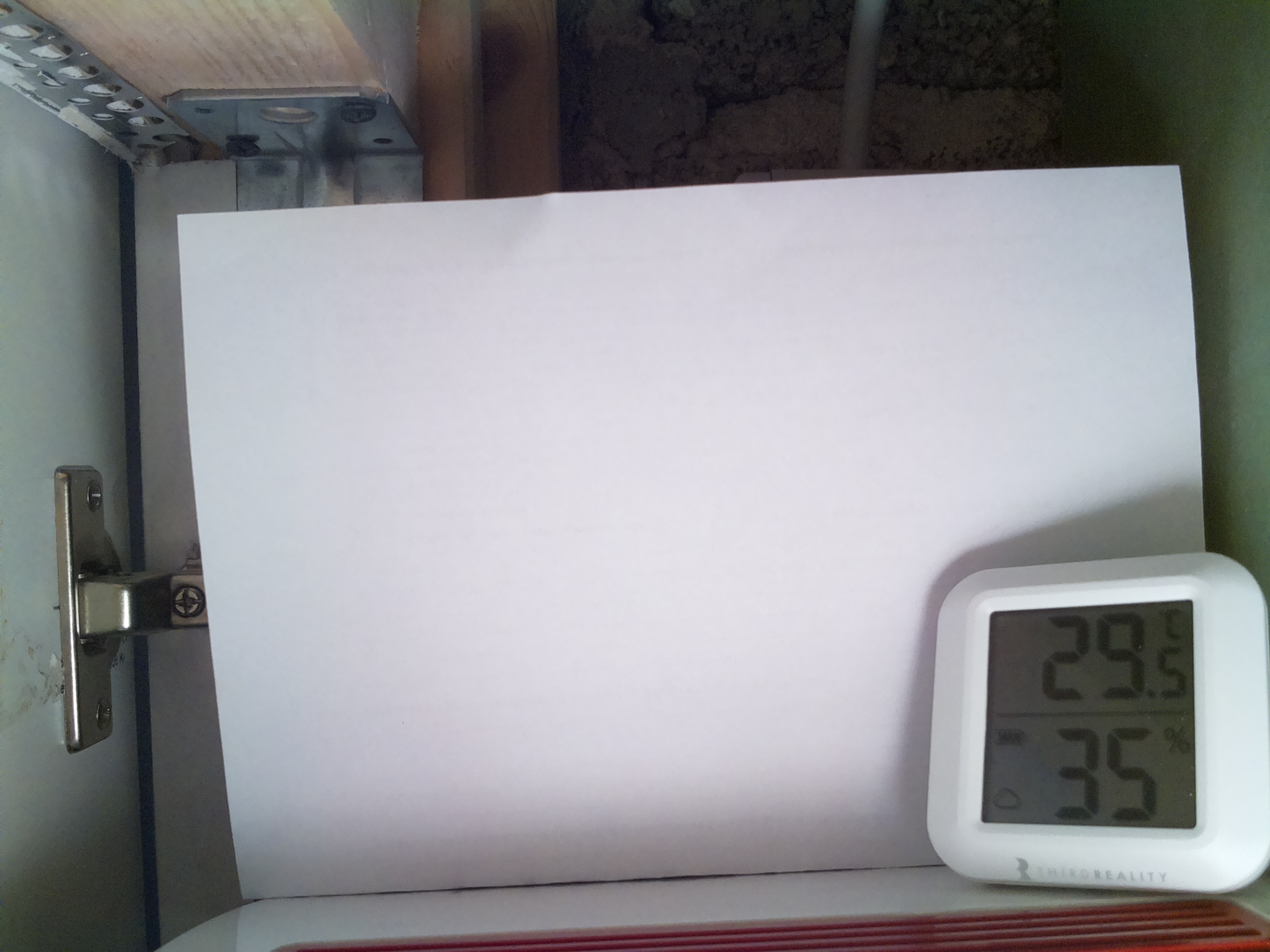 Bild vom Sauerteig