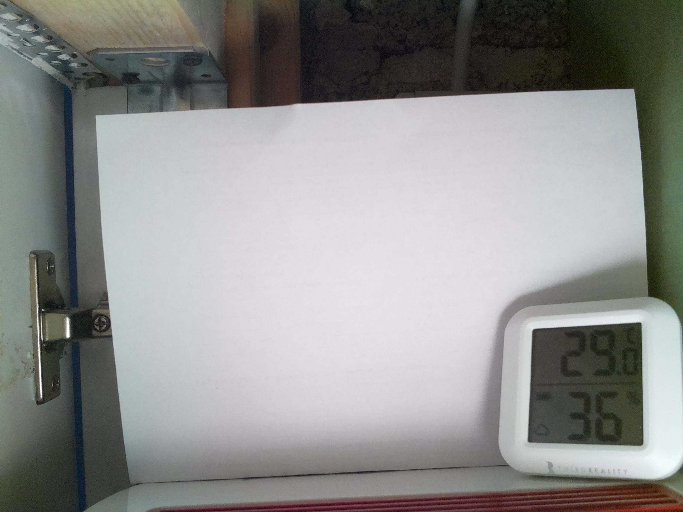 Bild vom Sauerteig