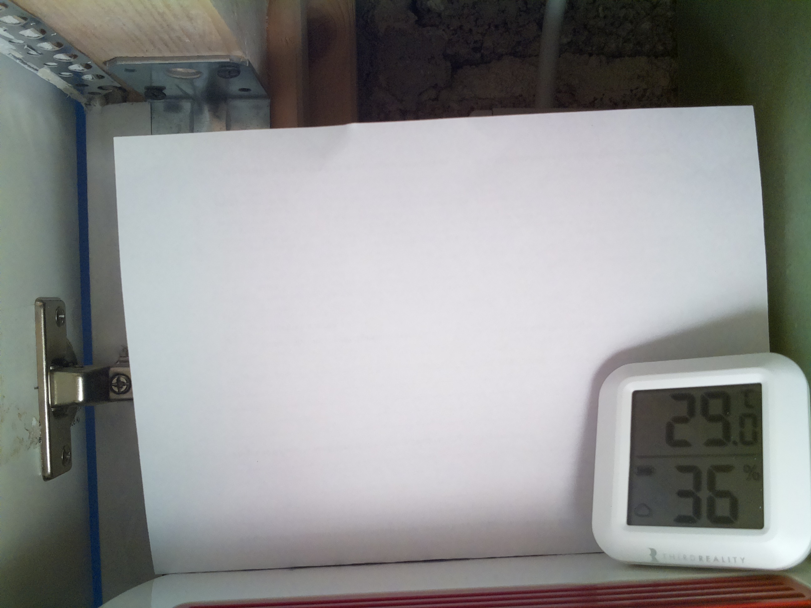 Bild vom Sauerteig