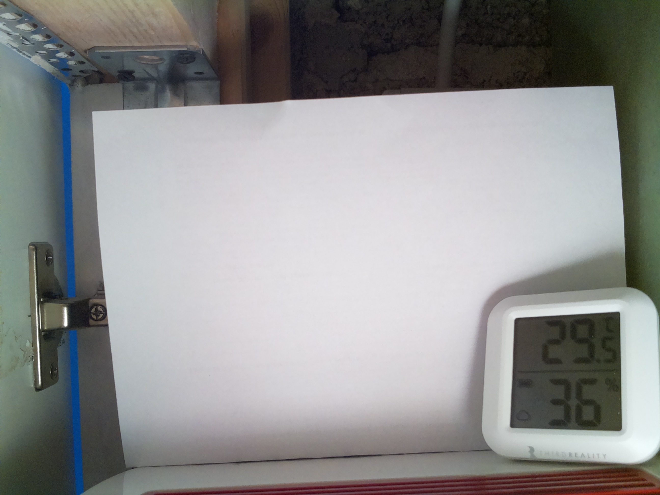 Bild vom Sauerteig