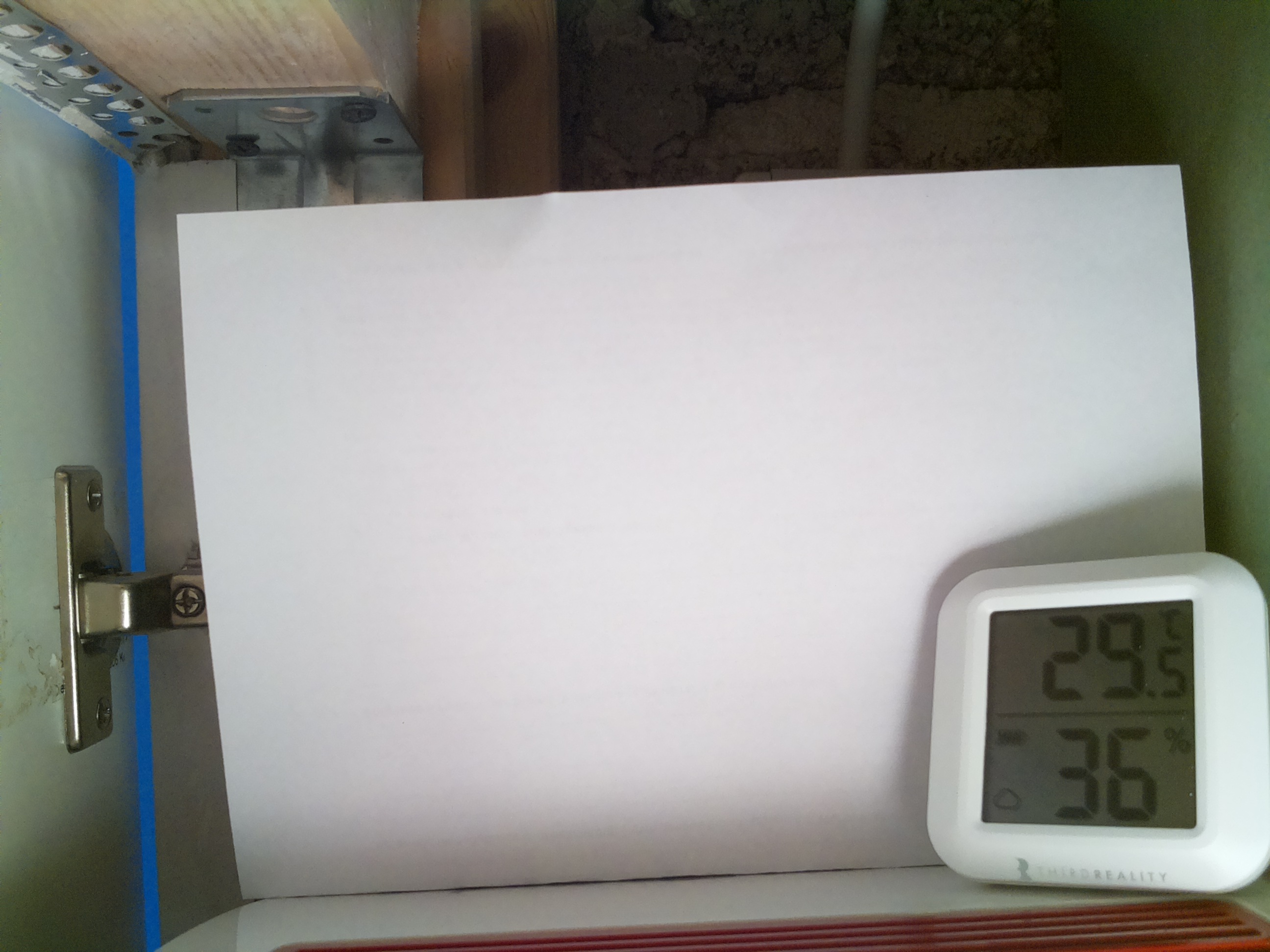 Bild vom Sauerteig