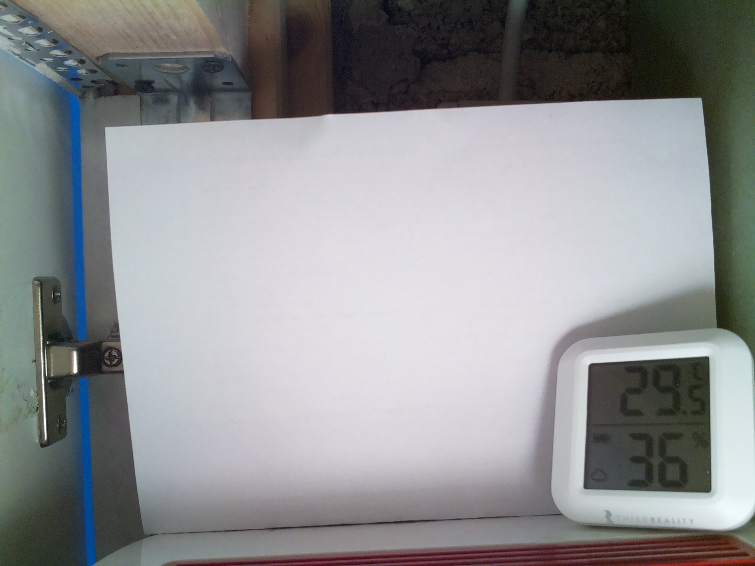 Bild vom Sauerteig