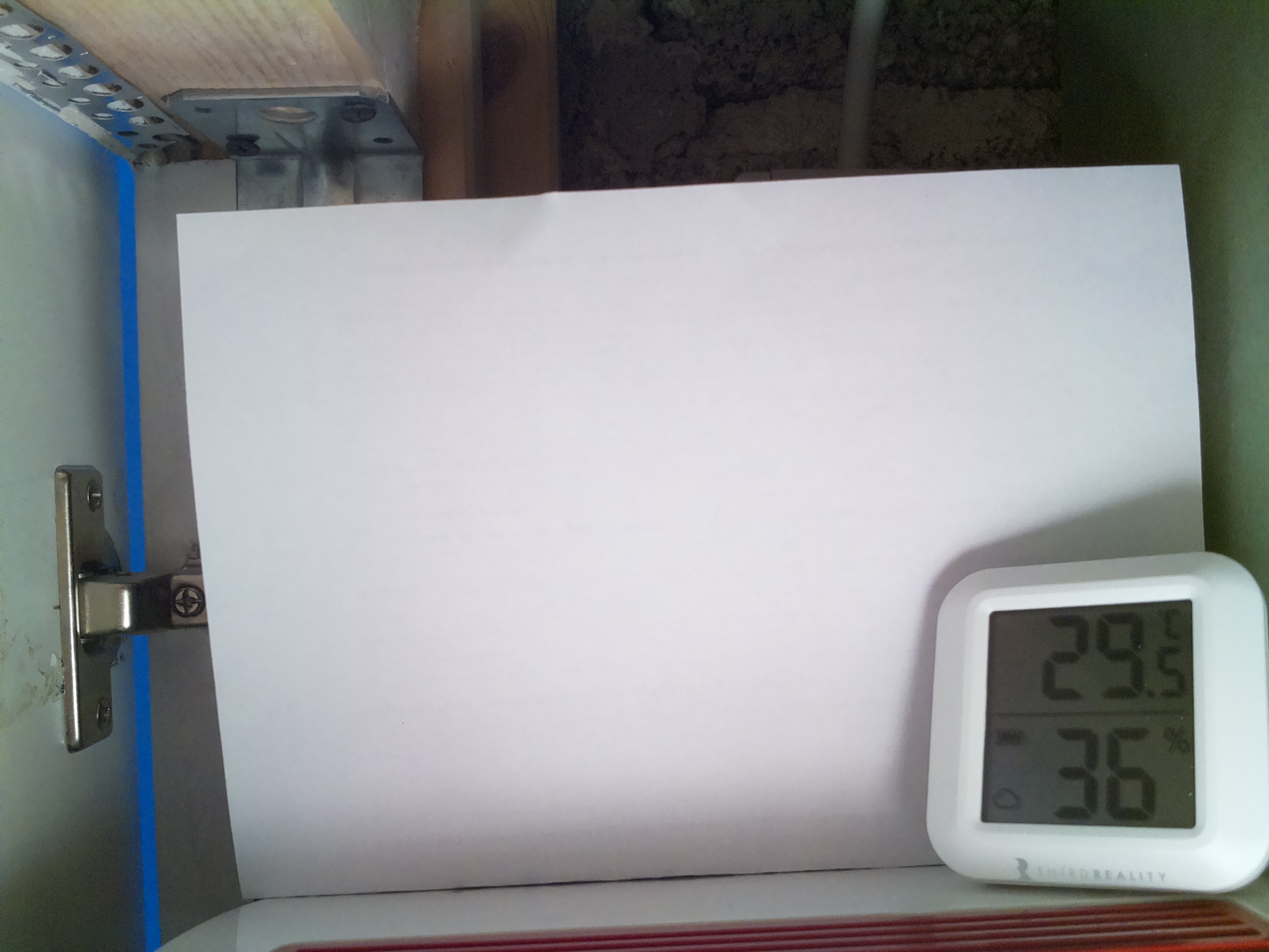 Bild vom Sauerteig