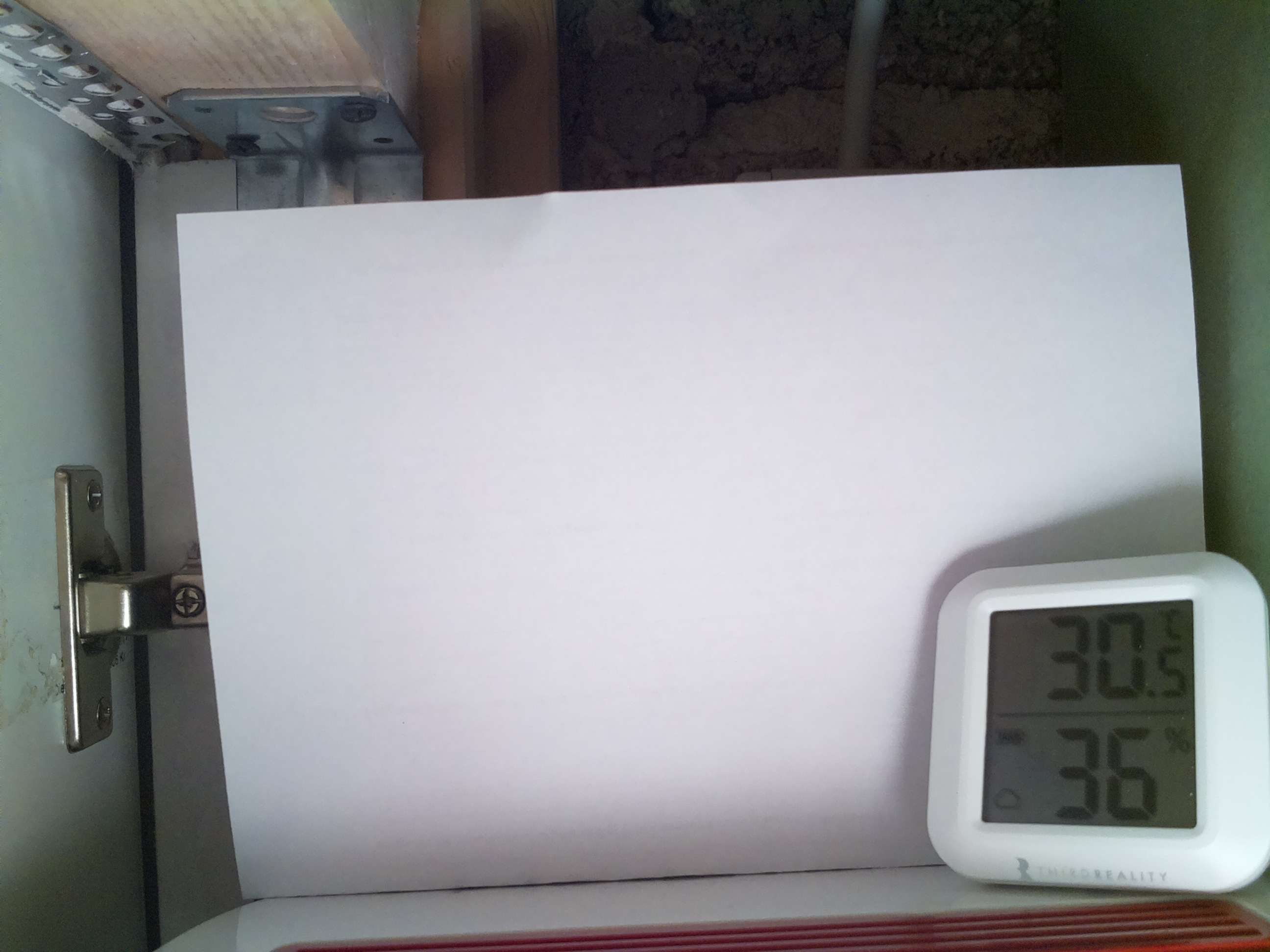Bild vom Sauerteig