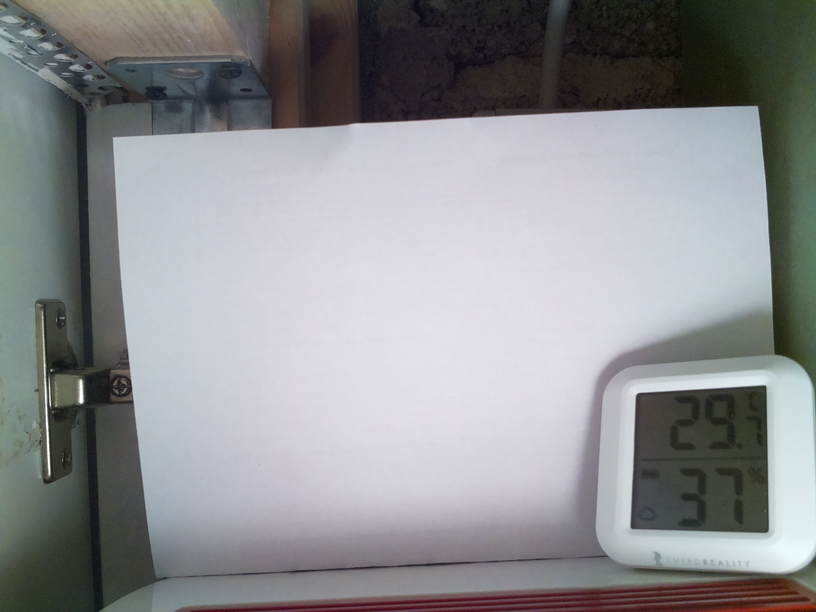Bild vom Sauerteig
