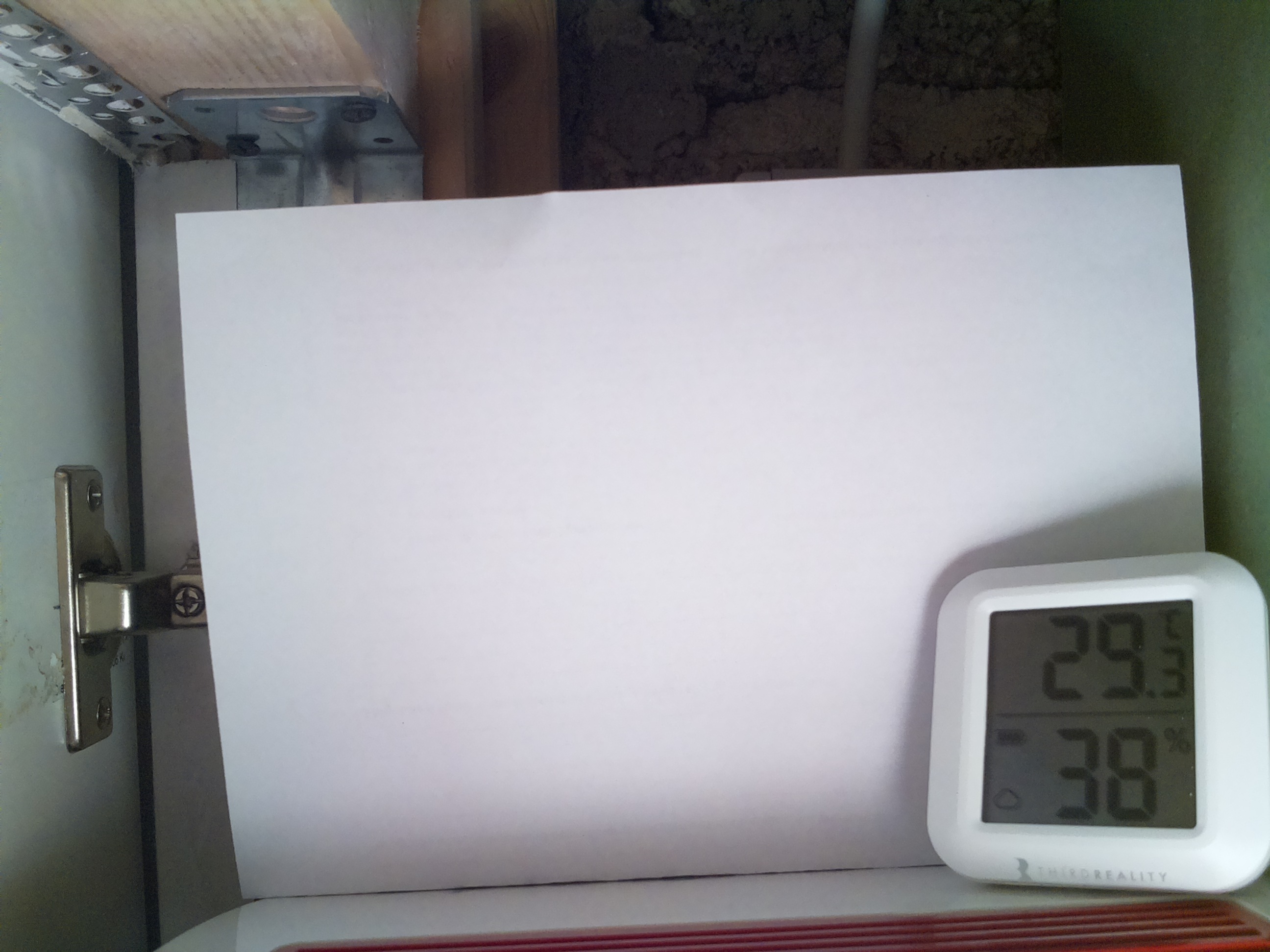 Bild vom Sauerteig
