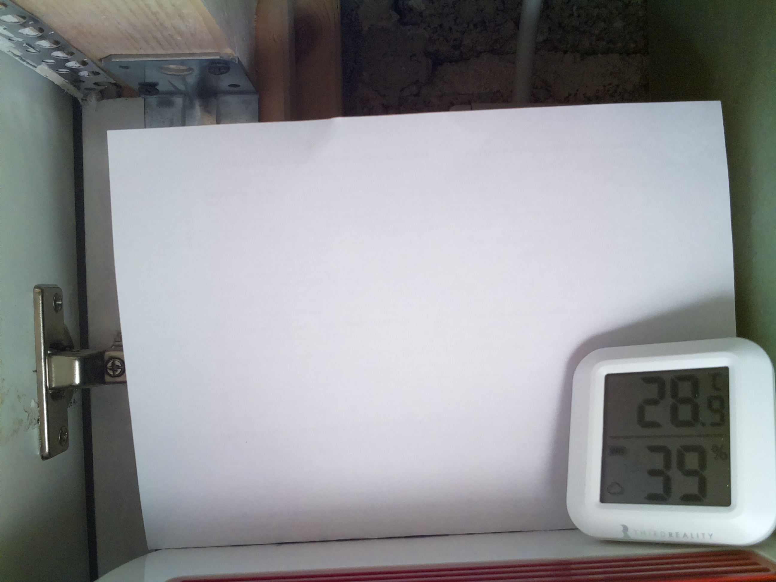 Bild vom Sauerteig