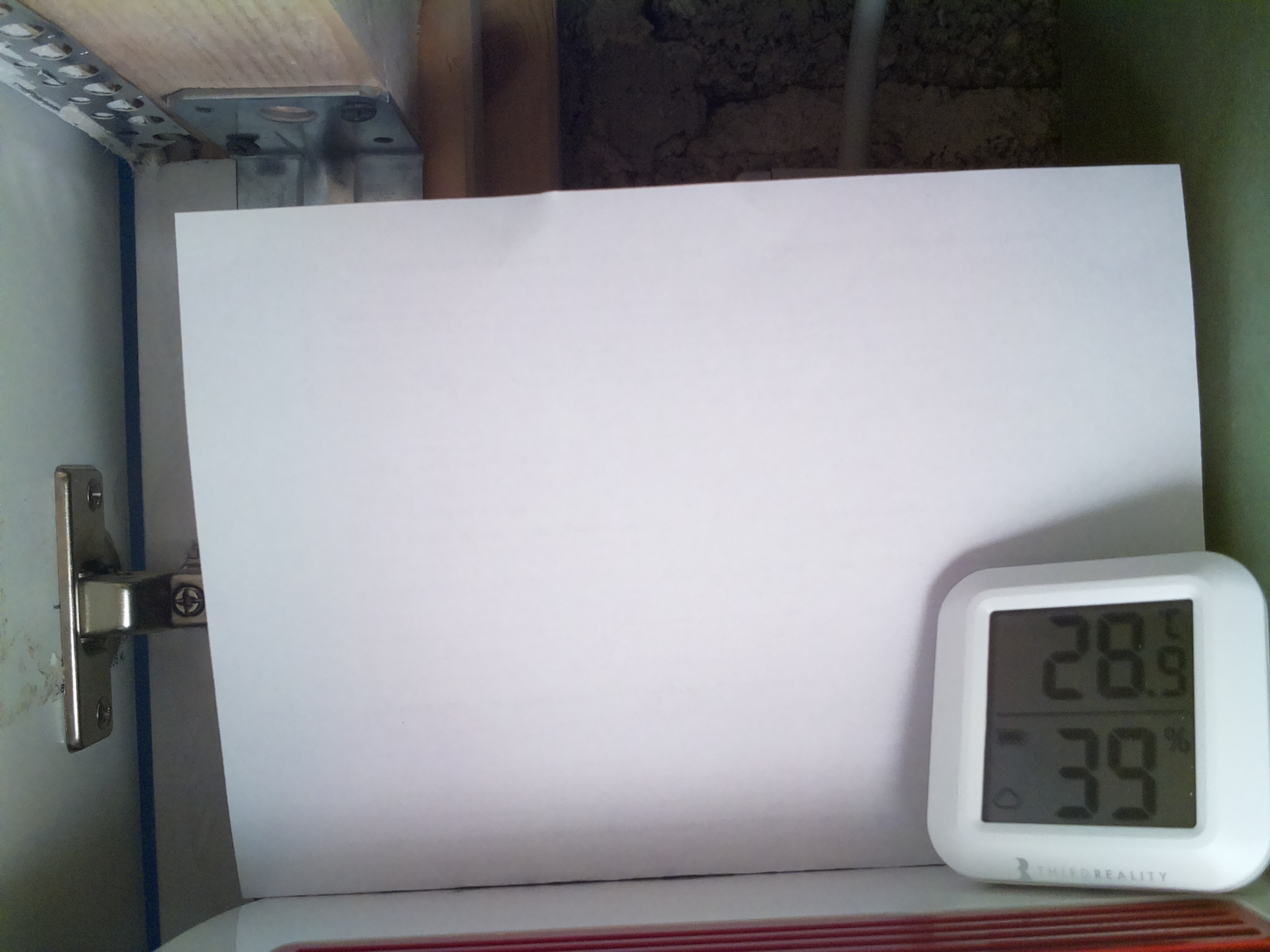 Bild vom Sauerteig