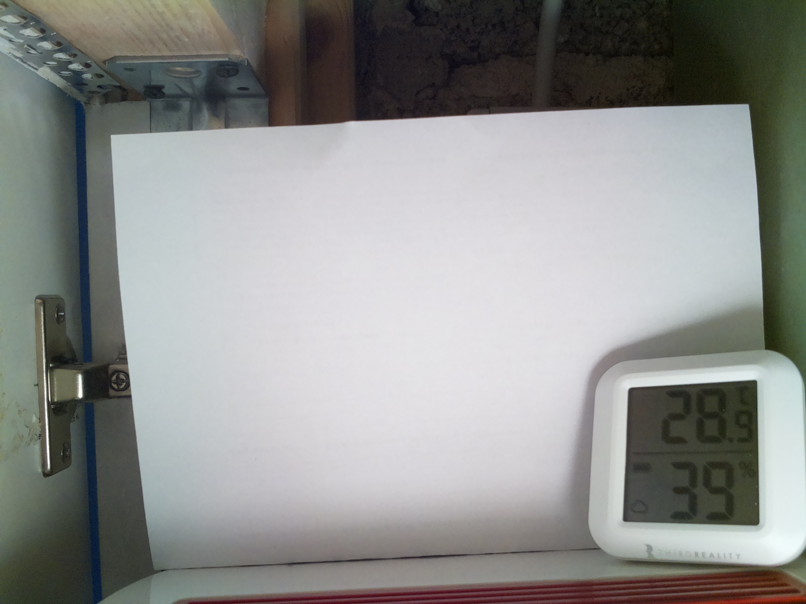 Bild vom Sauerteig
