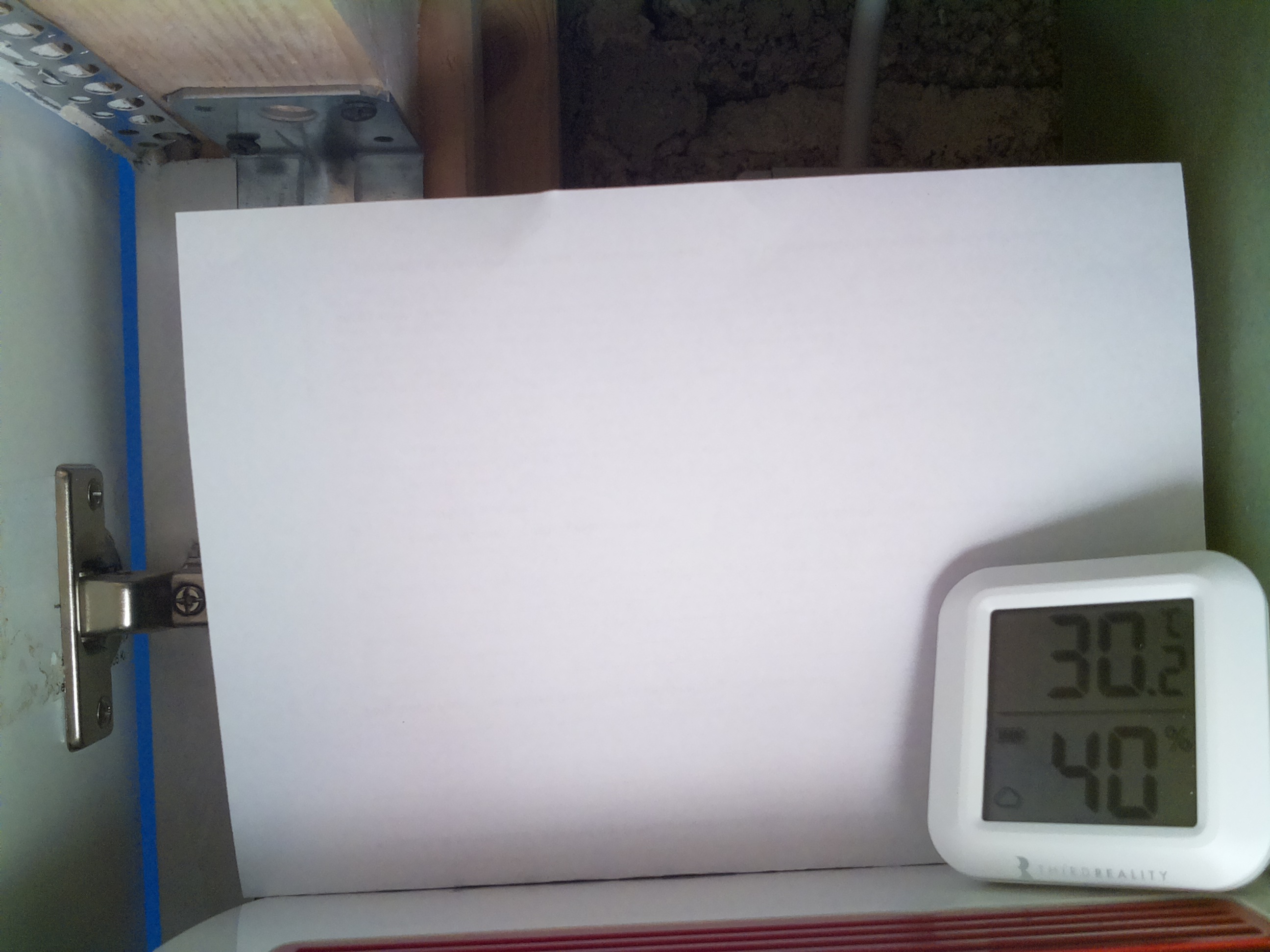 Bild vom Sauerteig