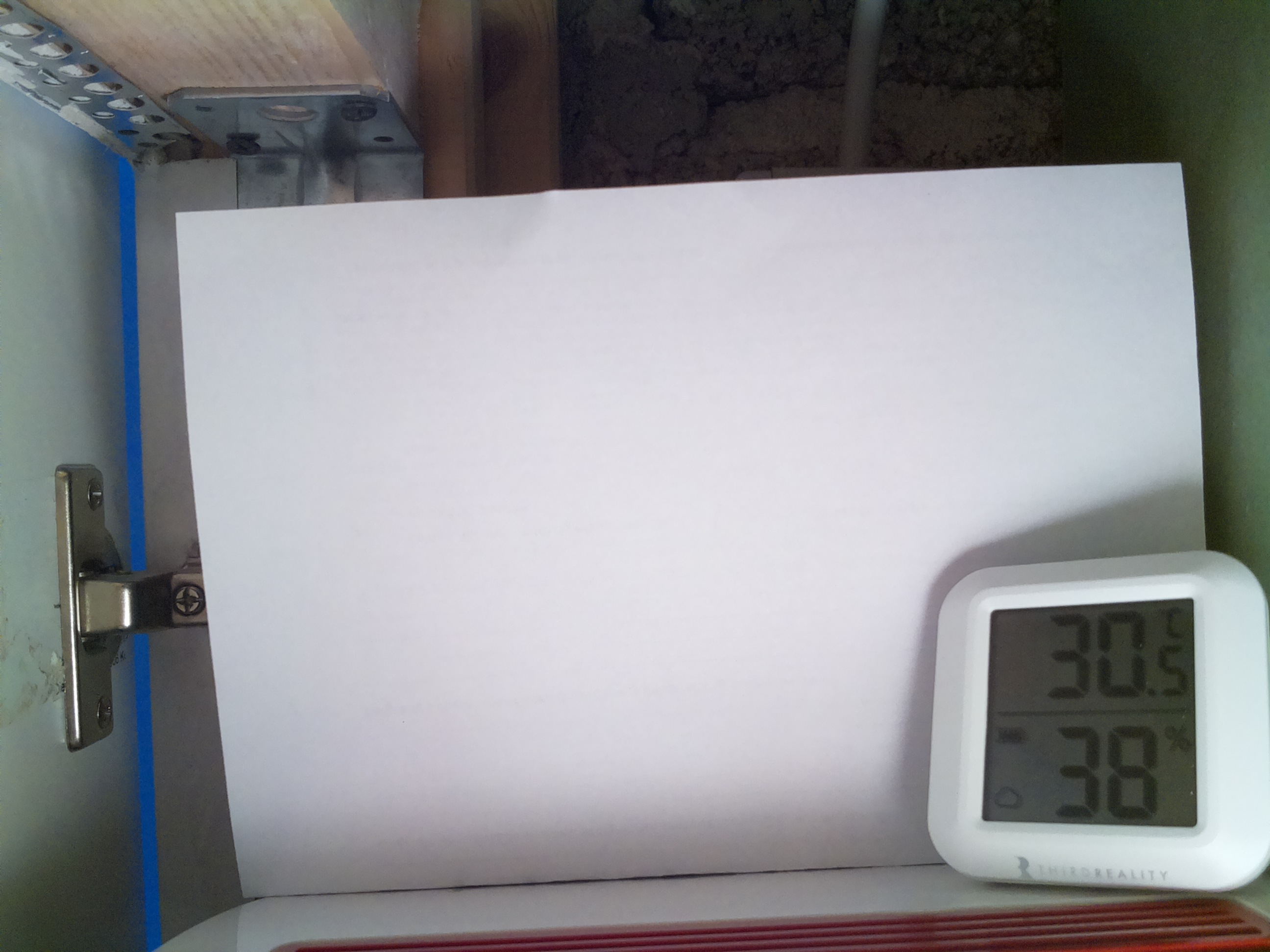Bild vom Sauerteig